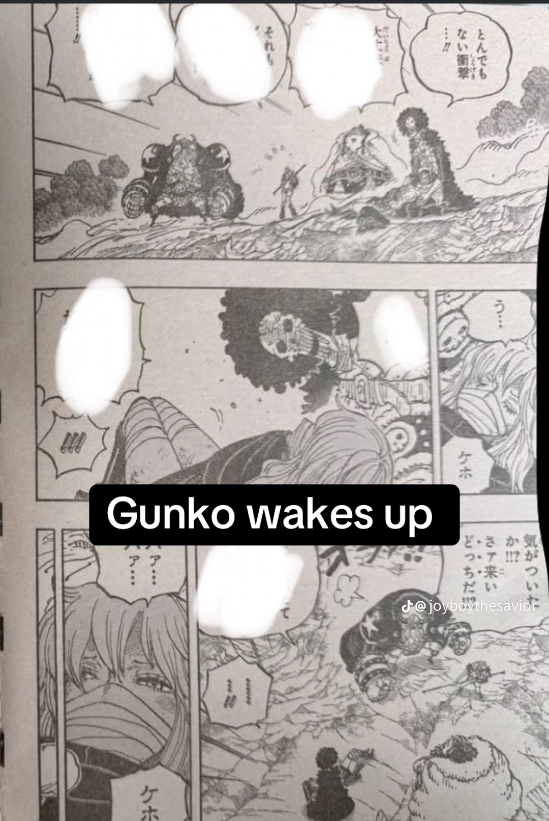 One Piece Manga, chapter 1193 RAW, page 6