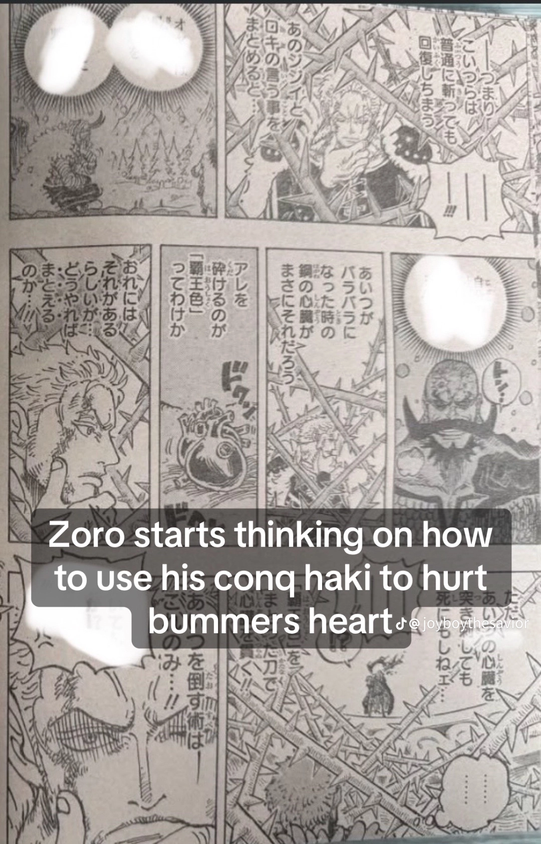 One Piece Manga, chapter 1193 RAW, page 13