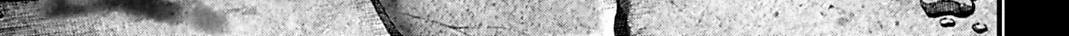 Record of Ragnarok: The Jack the Ripper Case Files, chapter 71, page 41