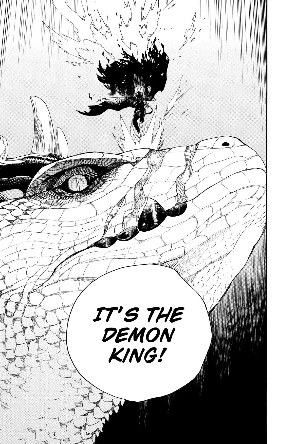 Blue Exorcist, chapter 139, page 42