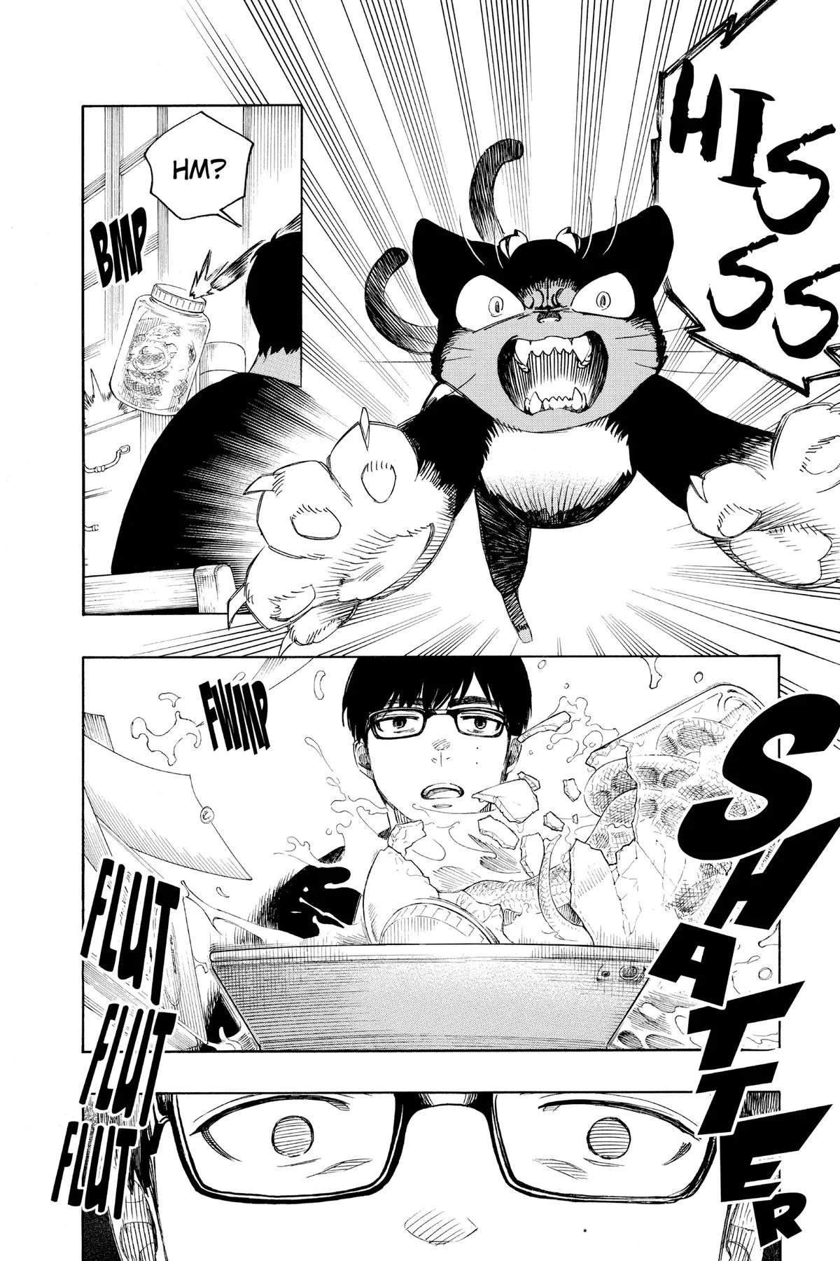 Blue Exorcist, chapter 140.5, page 10