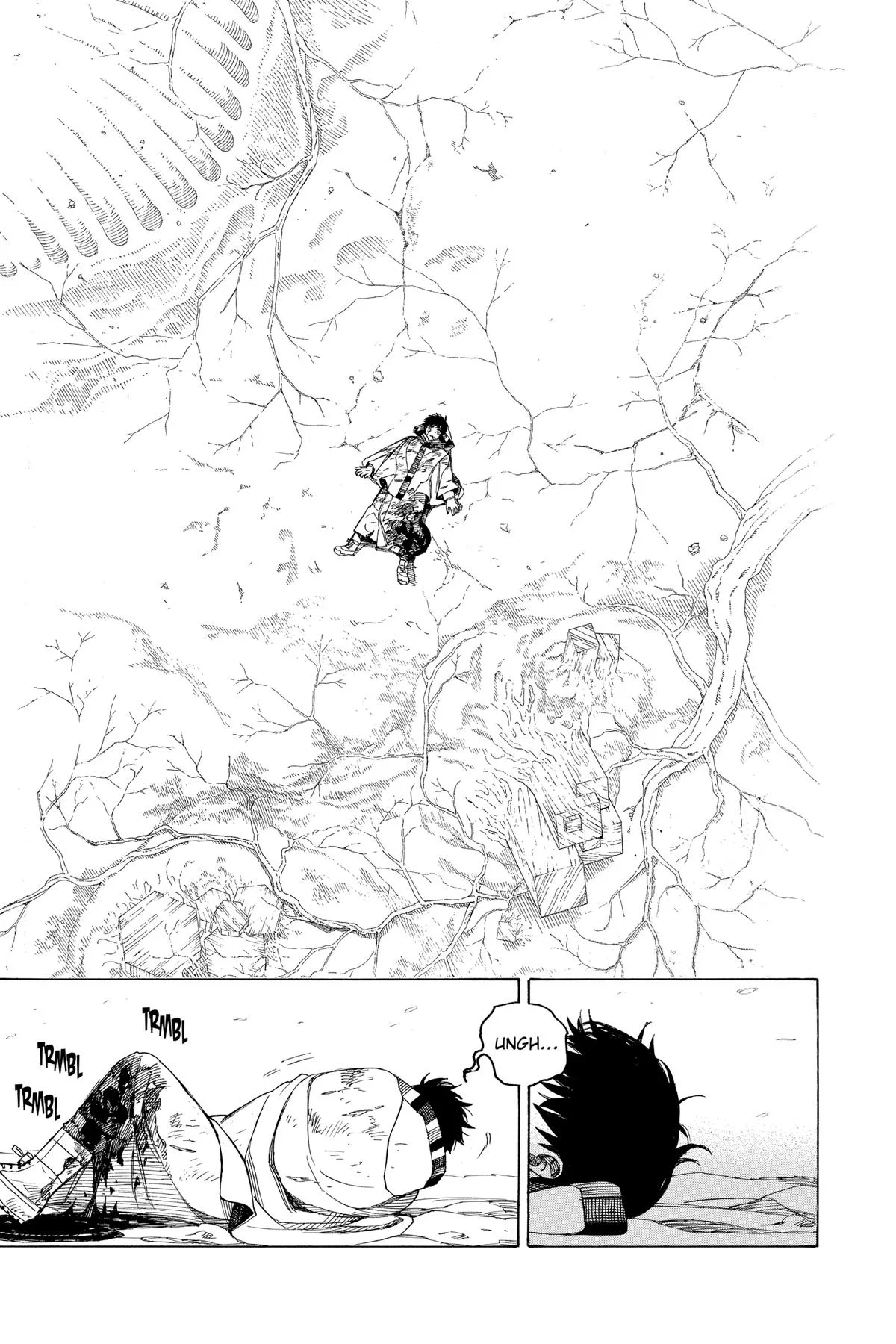 Blue Exorcist, chapter 141, page 10