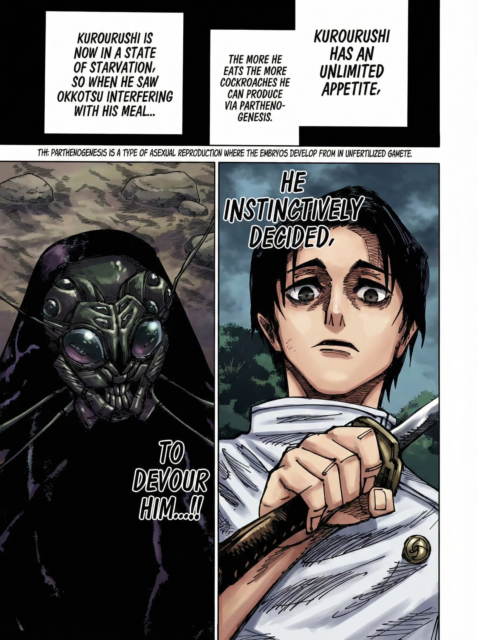 Jujutsu Kaisen Colored Manga JJK, chapter 174, page 14