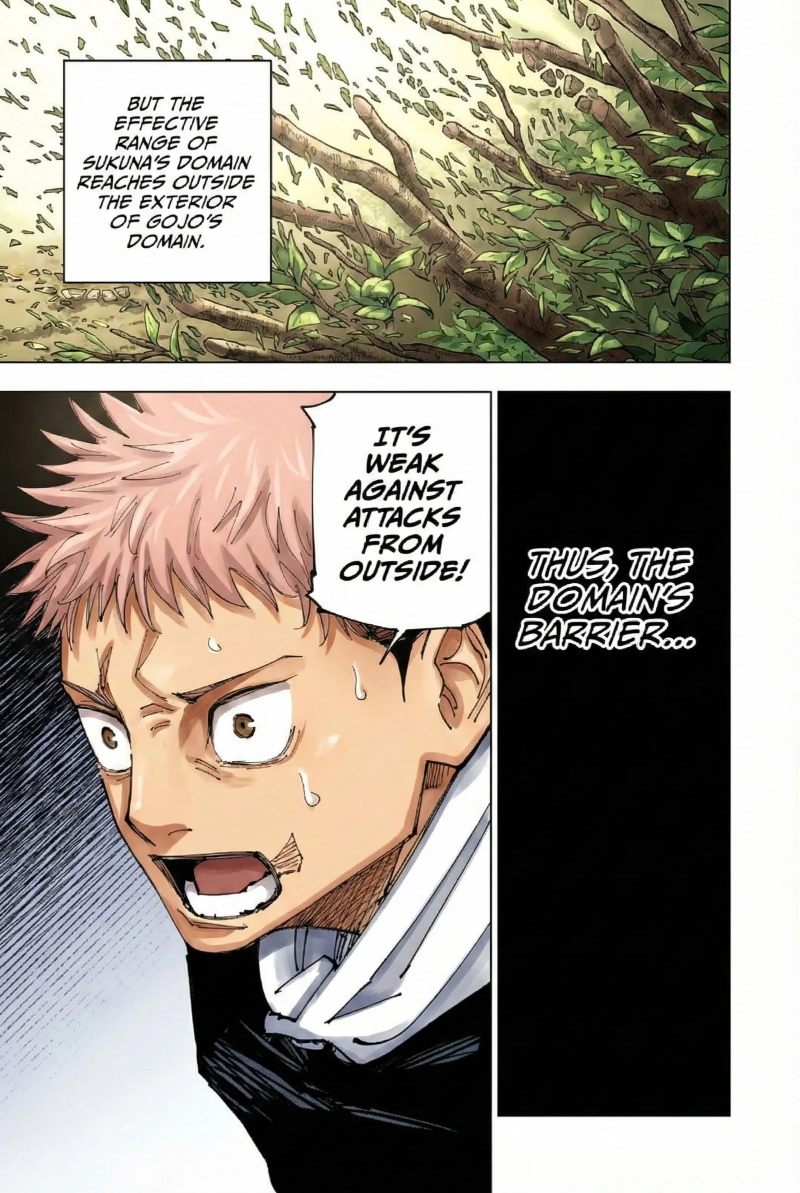 Jujutsu Kaisen Colored Manga JJK, chapter 225, page 15