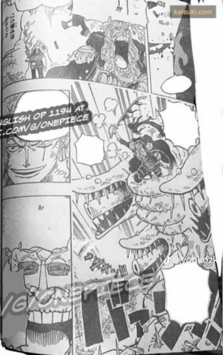 One Piece Manga, chapter 1194 RAW, page 4
