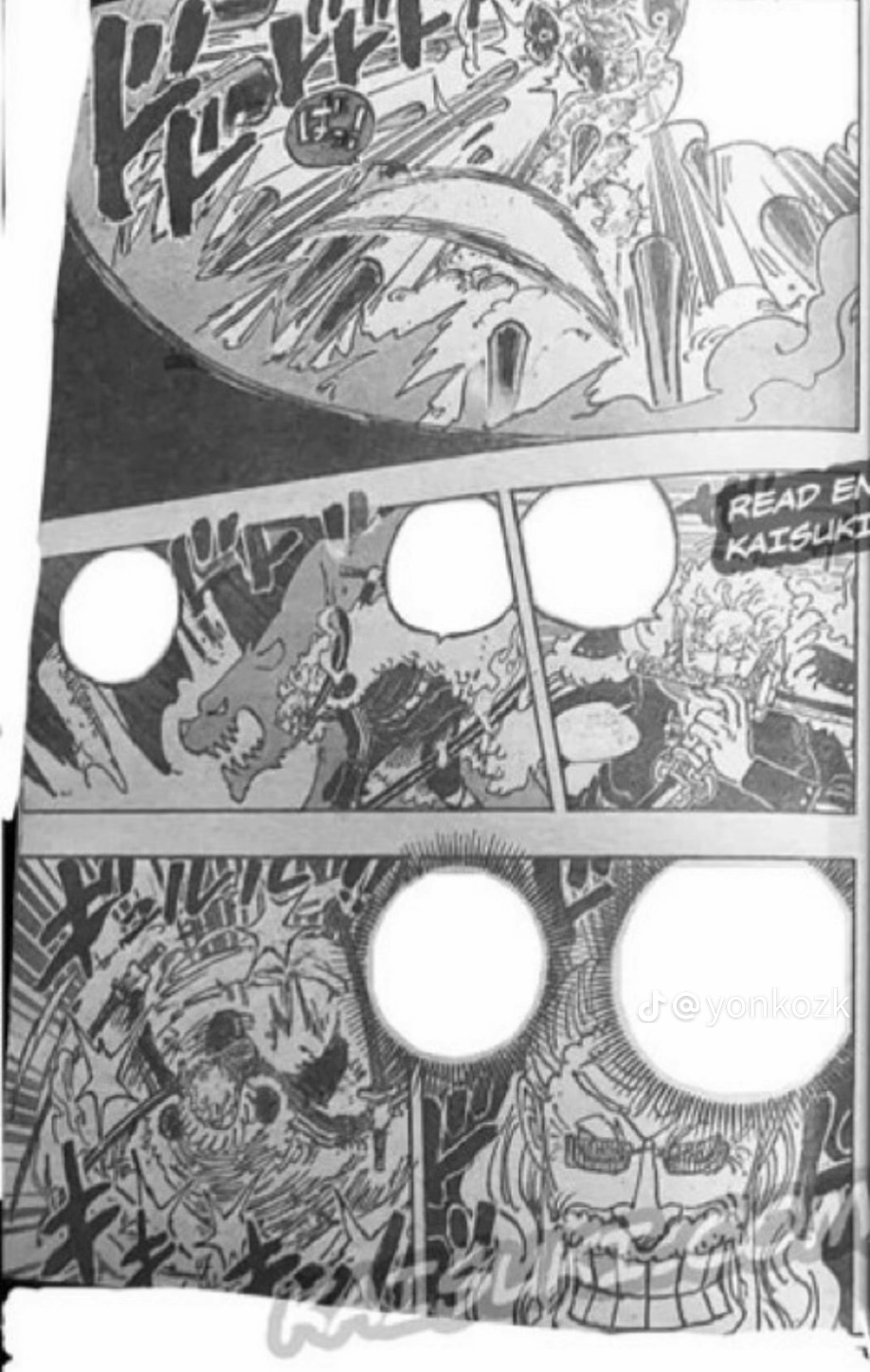 One Piece Manga, chapter 1194 RAW, page 5