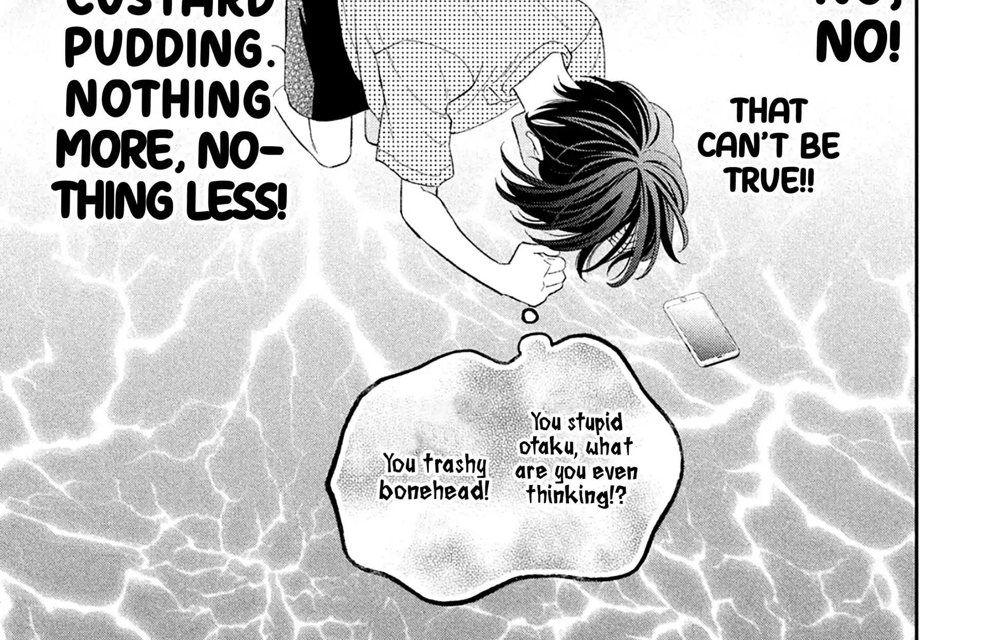 Without Love, I Can't be an Idol, chapter 5, page 14