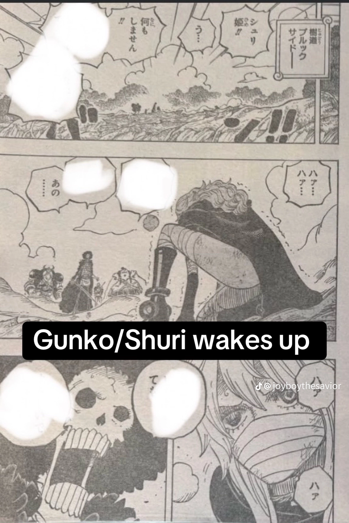 One Piece Manga, chapter 1195 RAW, page 5