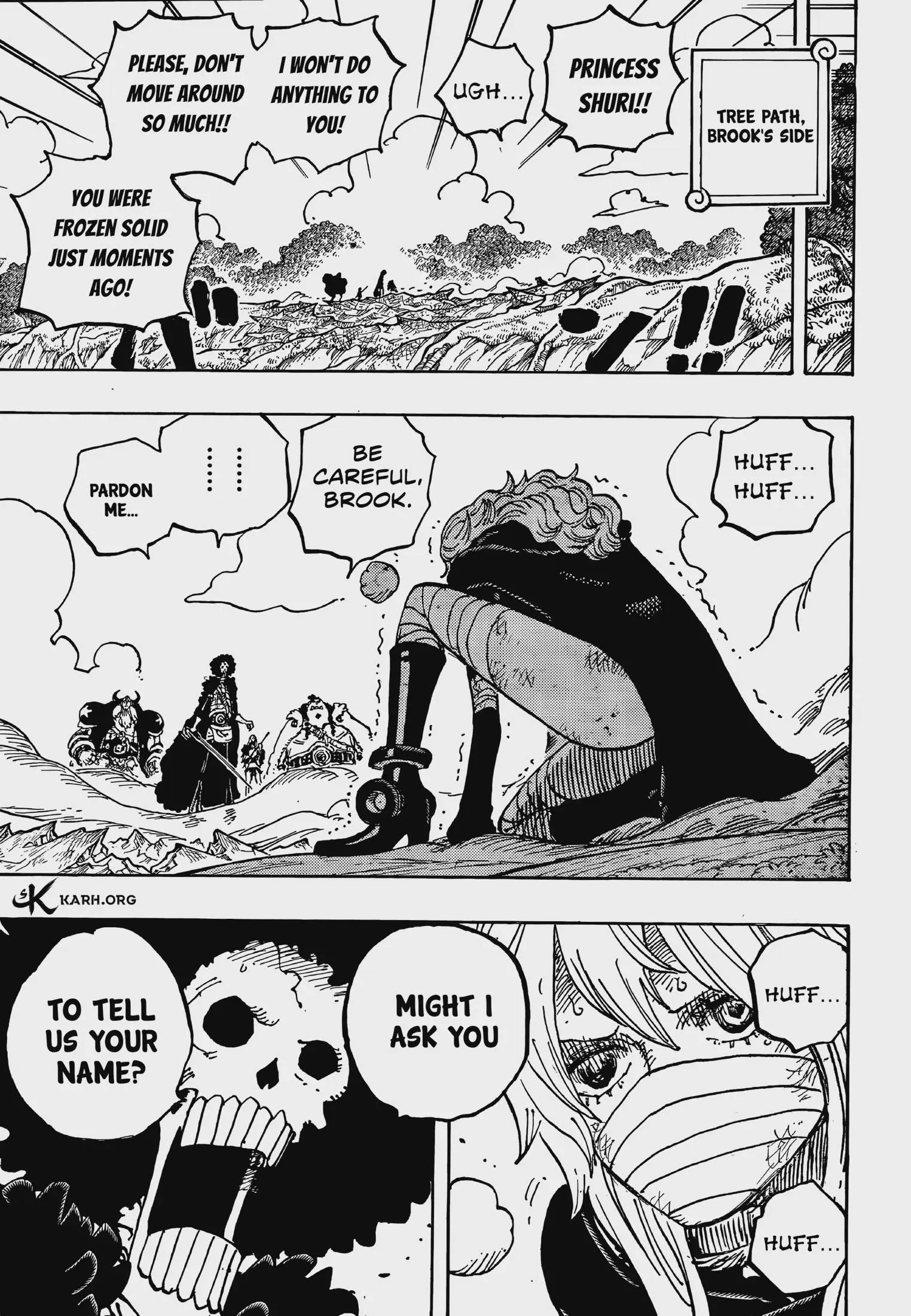 One Piece Manga, chapter 1195, page 5