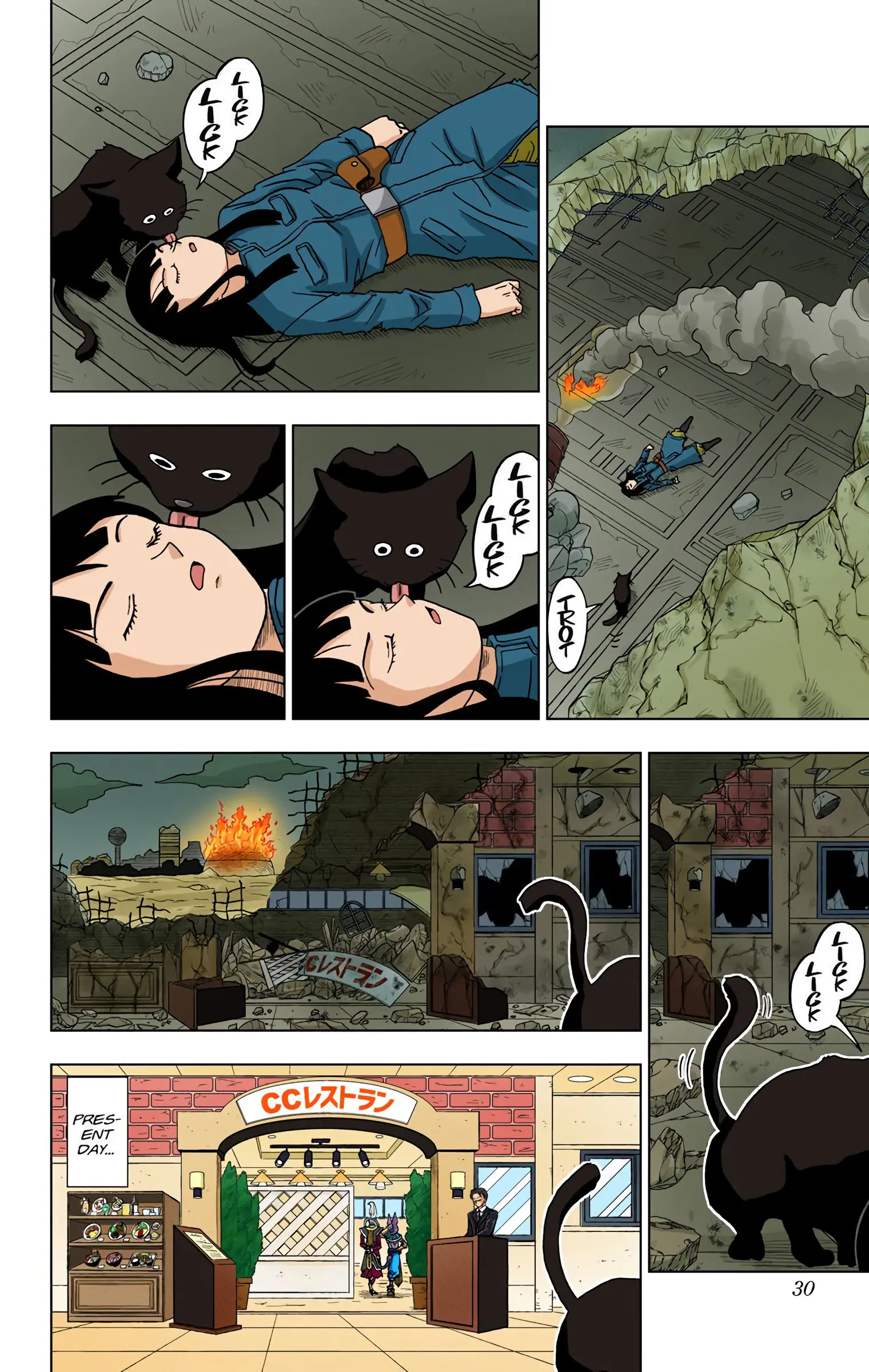 Dragon Ball Super Colored Manga, chapter 16, page 29