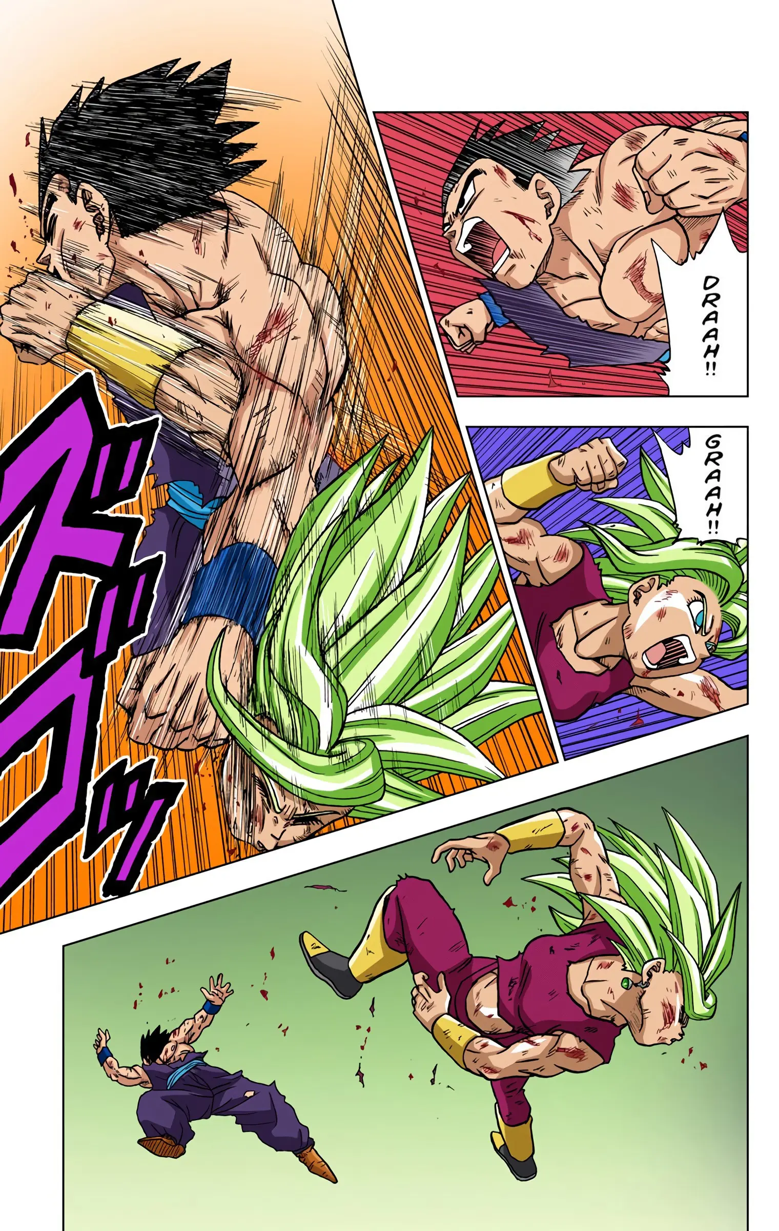 Dragon Ball Super Colored Manga, chapter 39, page 13