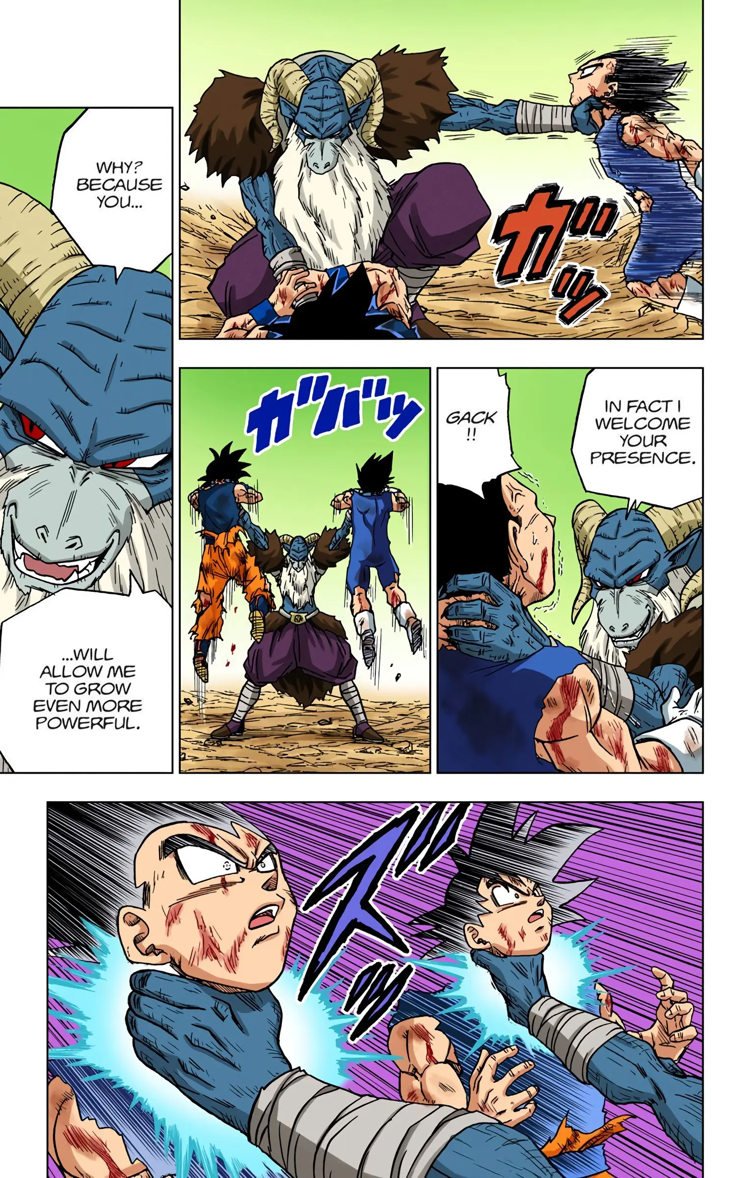 Dragon Ball Super Colored Manga, chapter 46, page 19