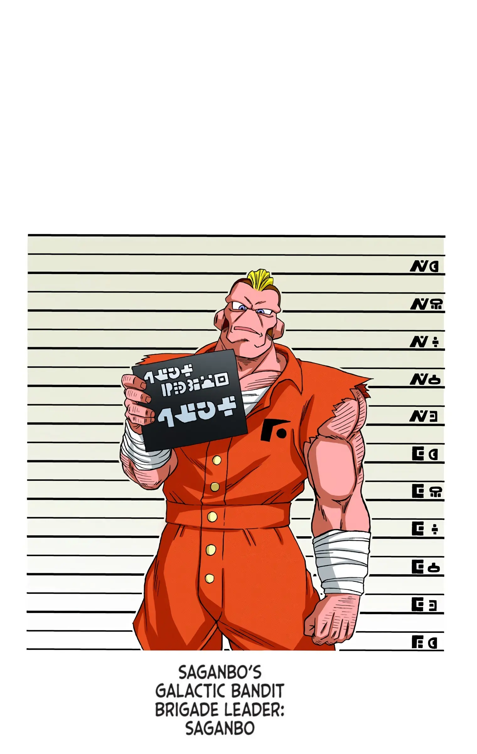 Dragon Ball Super Colored Manga, chapter 54, page 46