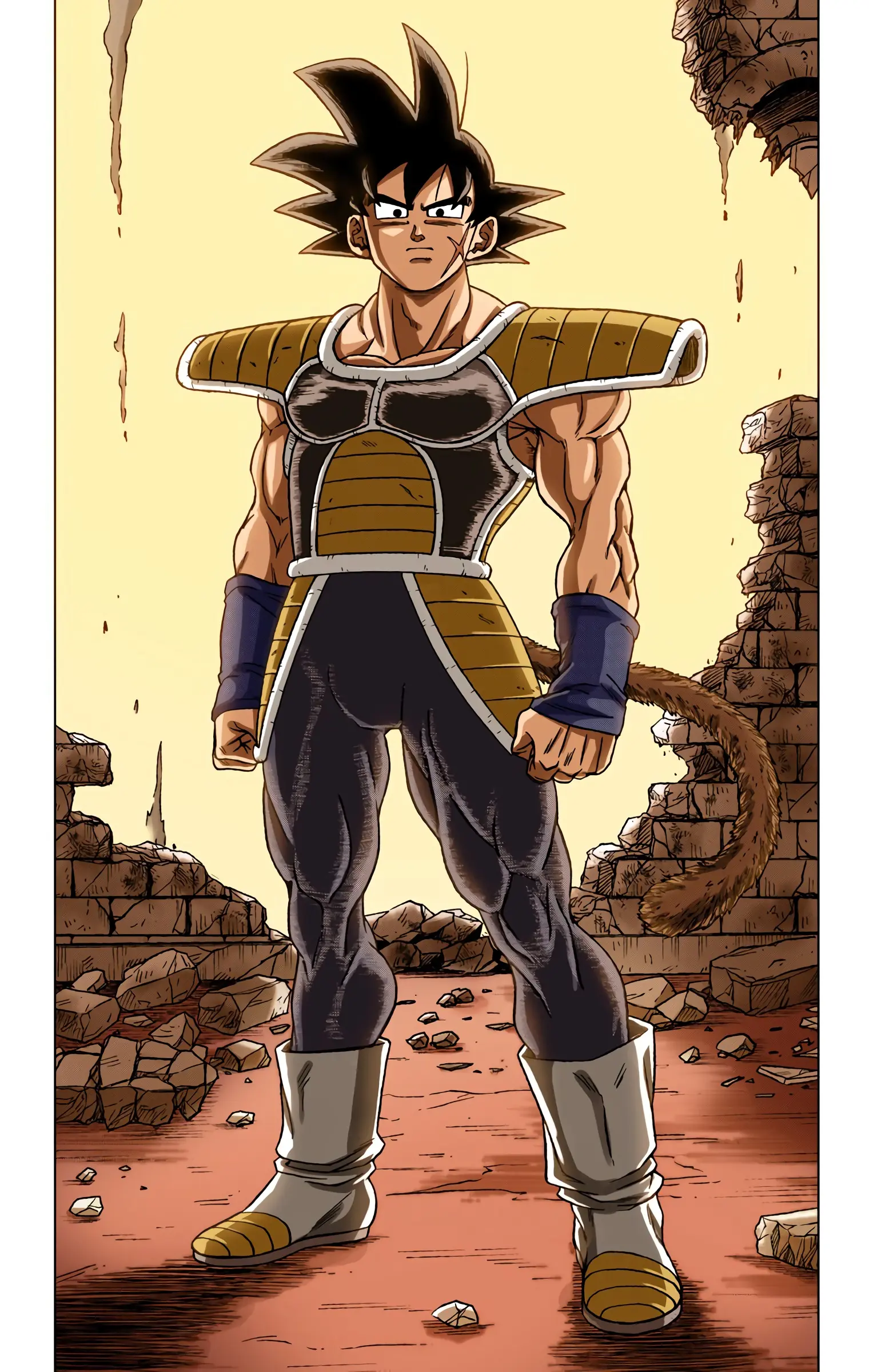 Dragon Ball Super Colored Manga, chapter 77, page 20