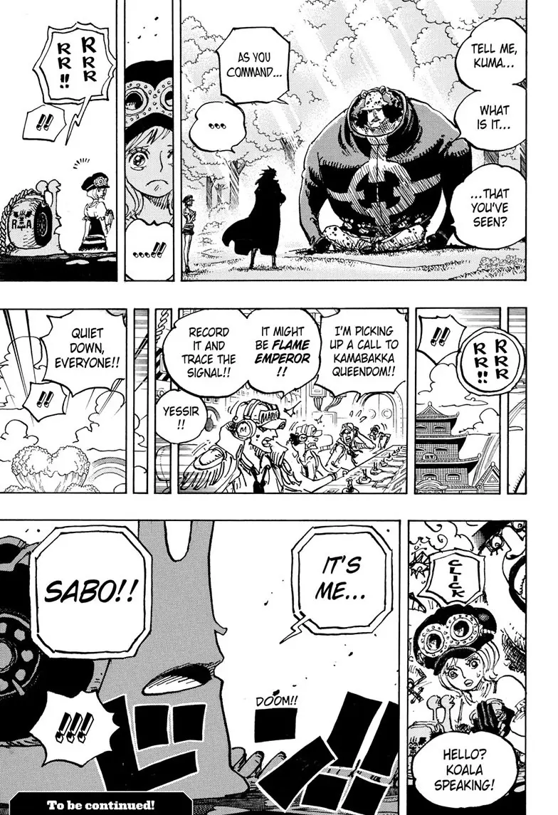 One Piece Manga, chapter 1058, page 17