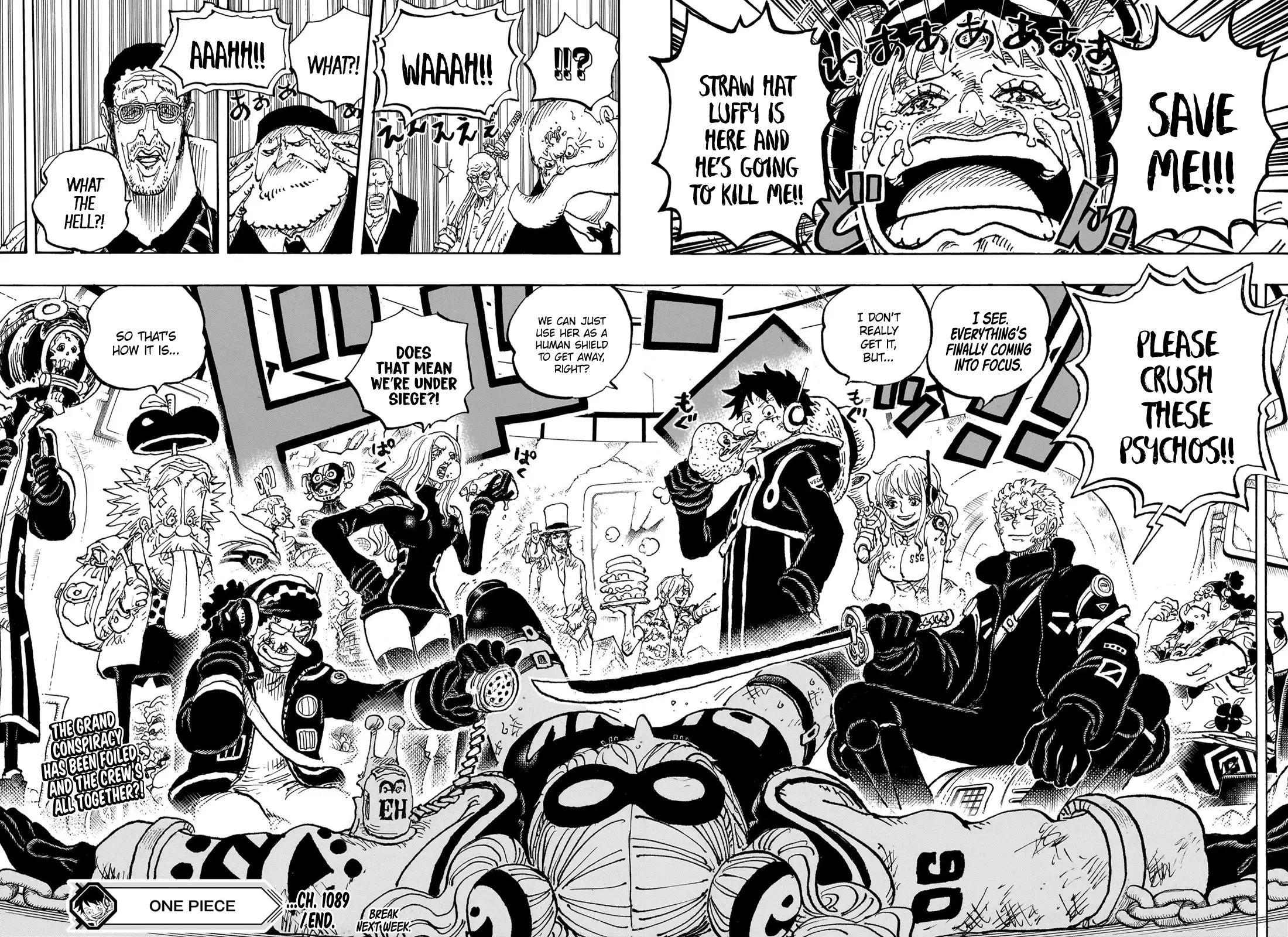 One Piece Manga, chapter 1089, page 16