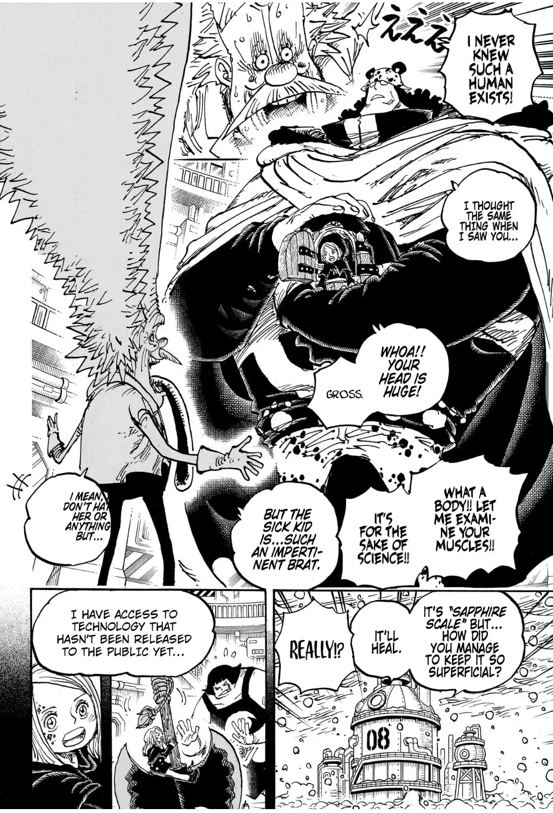 One Piece Manga, chapter 1099, page 13