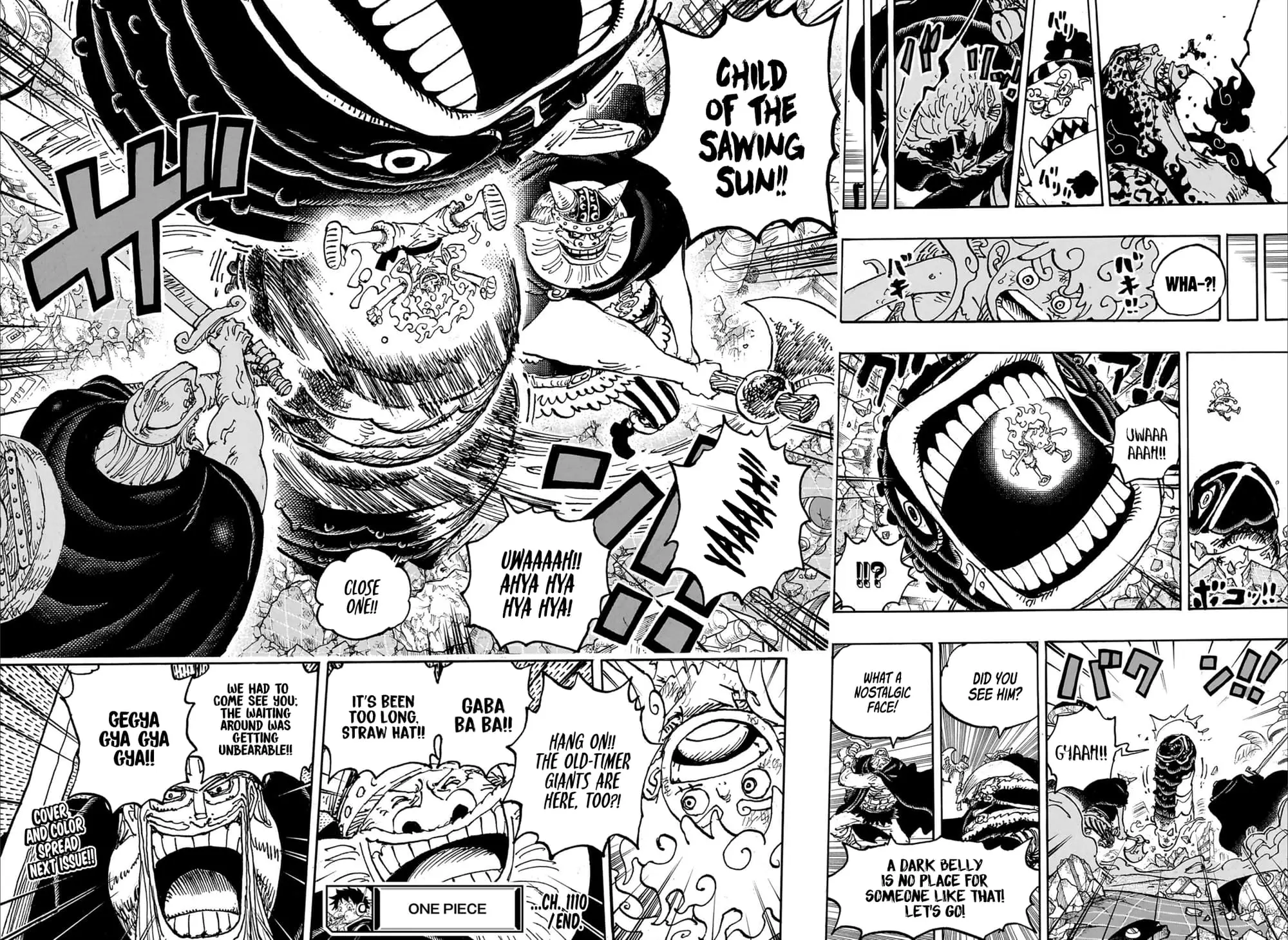 One Piece Manga, chapter 1110, page 13