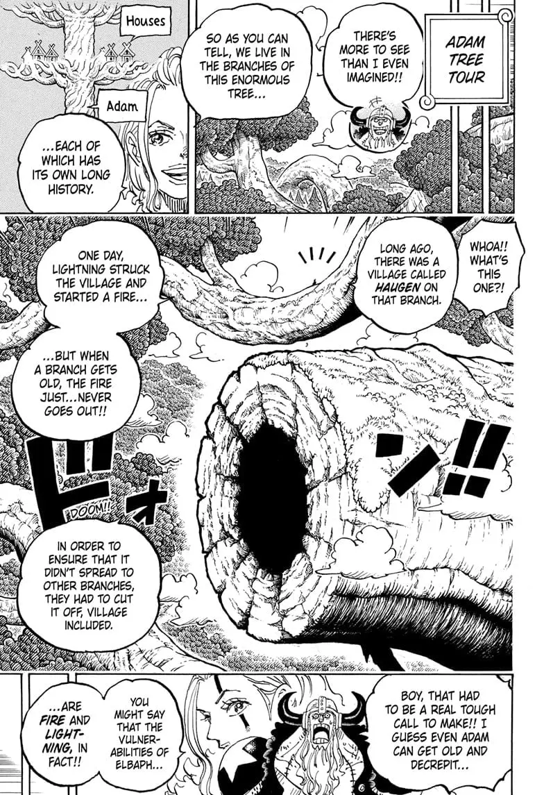 One Piece Manga, chapter 1141, page 3