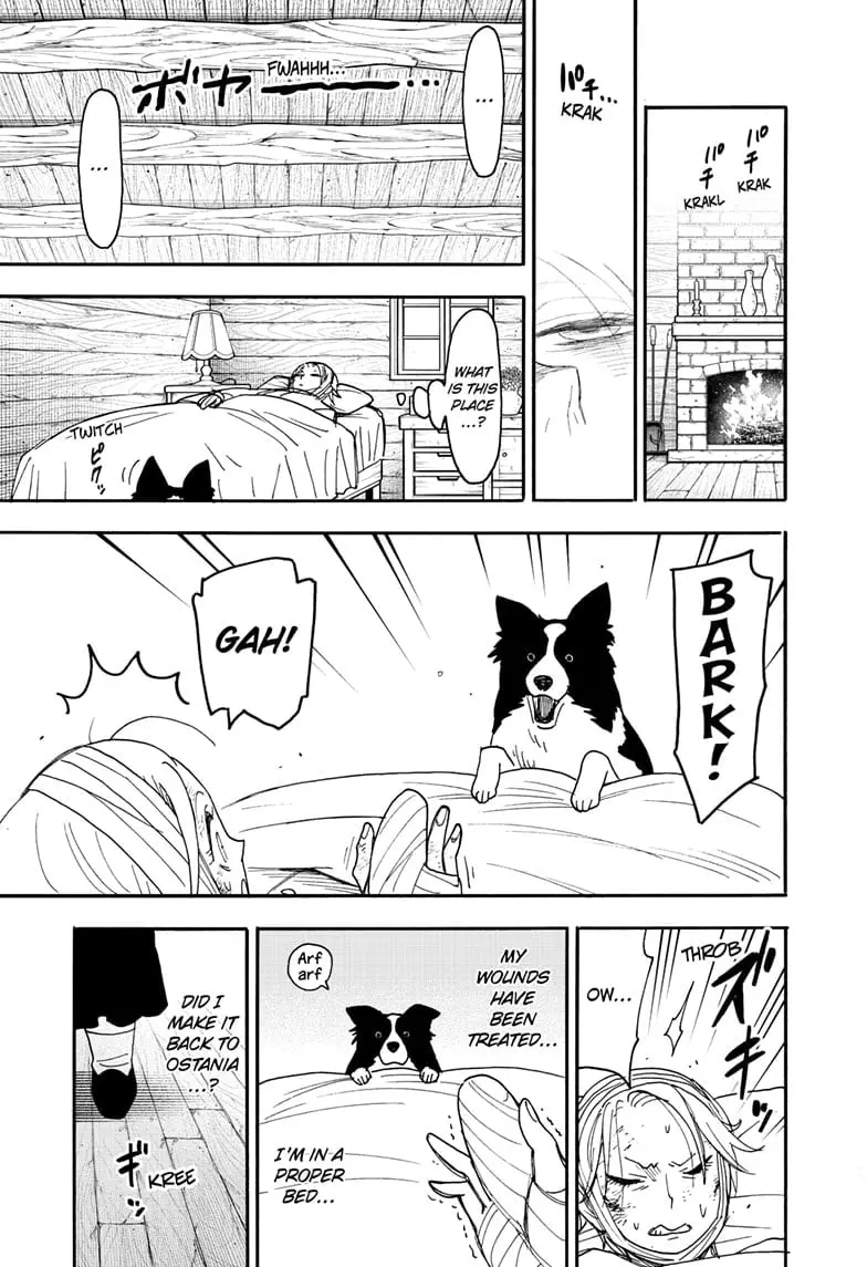 SPY x FAMILY Manga, chapter 100, page 7