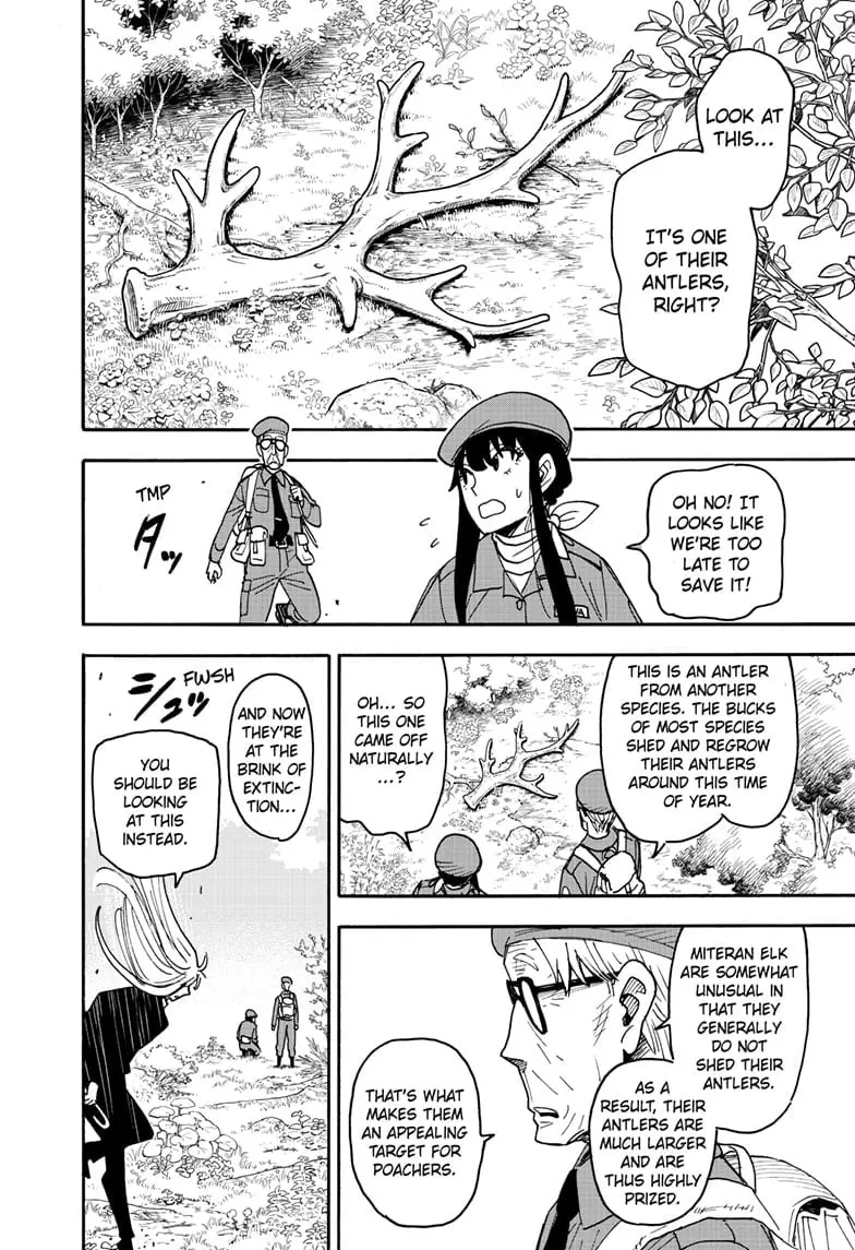 SPY x FAMILY Manga, chapter 116, page 8