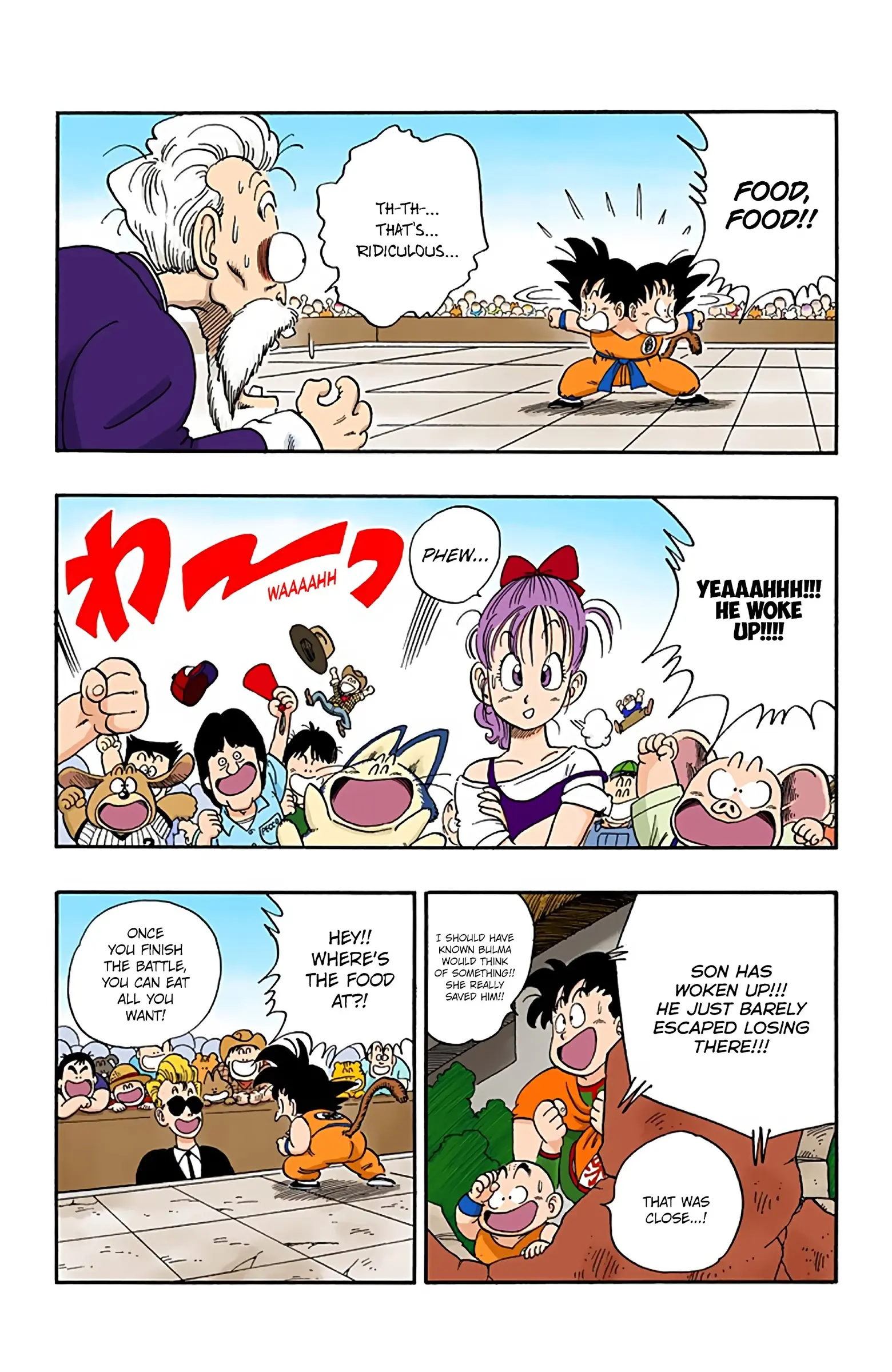Dragon Ball Colored Manga, chapter 49, page 12