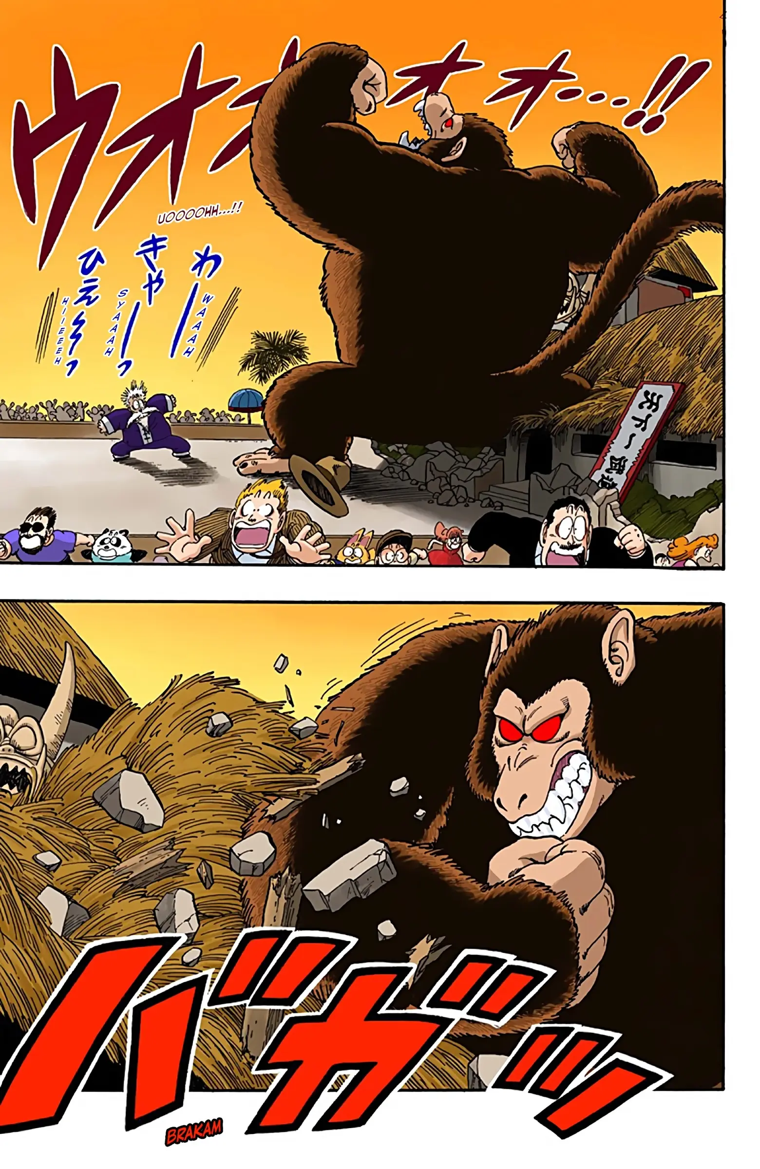 Dragon Ball Colored Manga, chapter 51, page 5