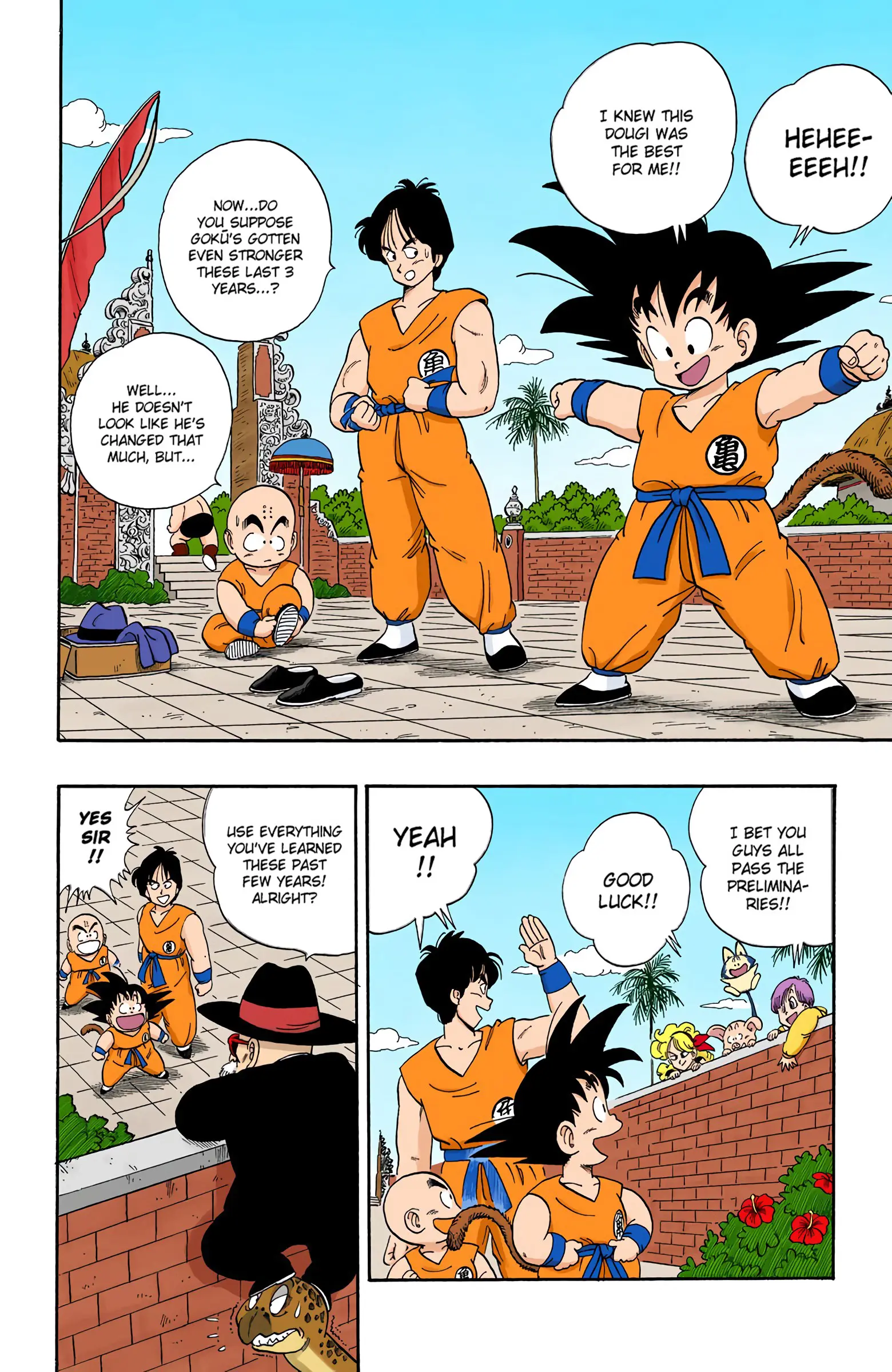 Dragon Ball Colored Manga, chapter 113, page 13