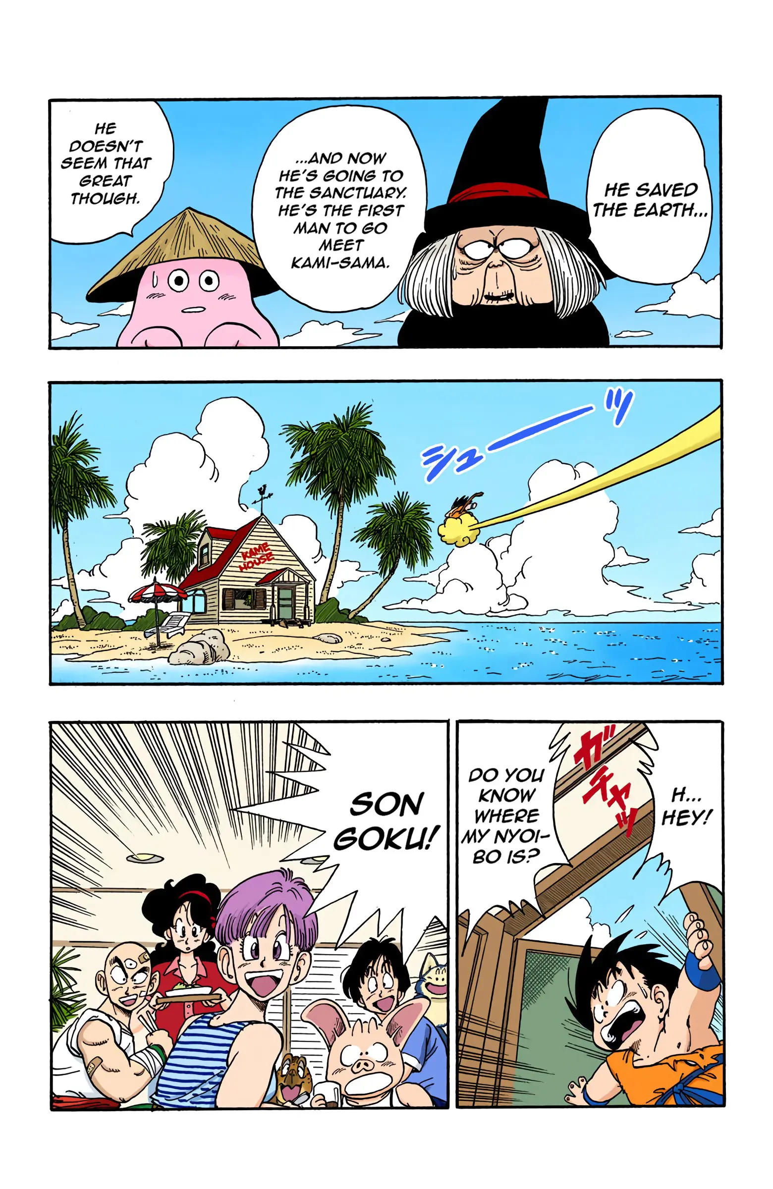 Dragon Ball Colored Manga, chapter 162, page 12
