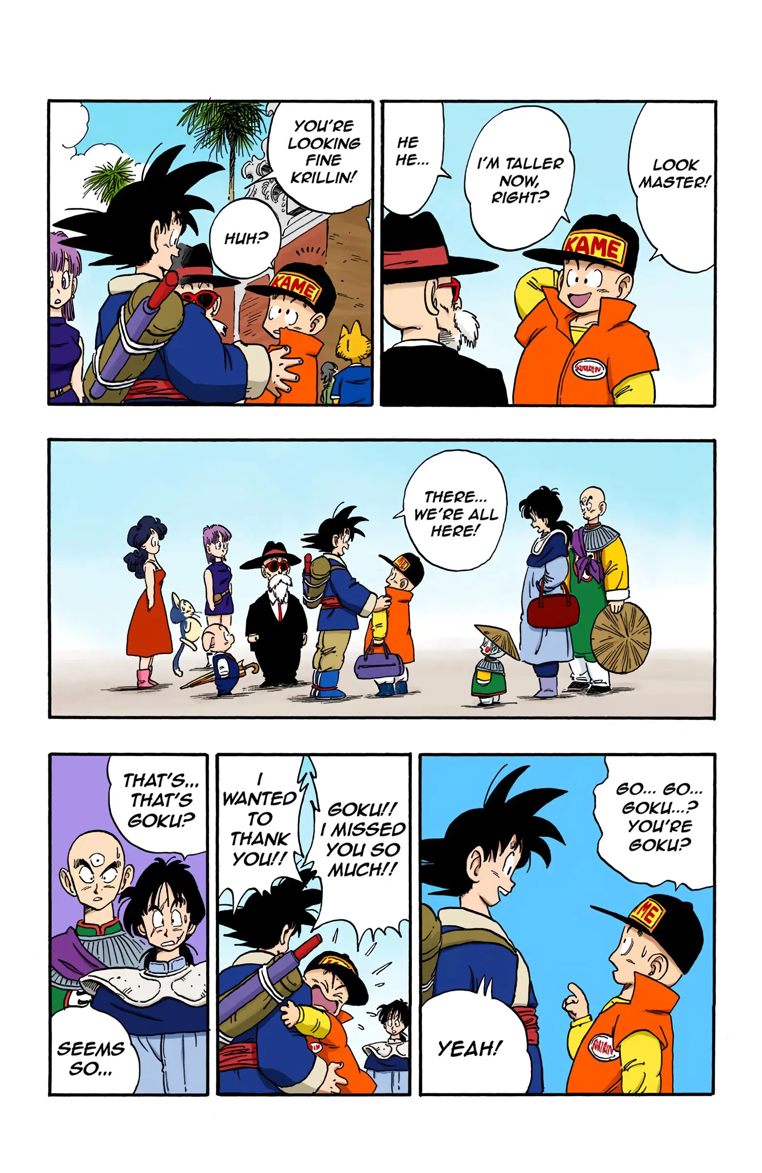 Dragon Ball Colored Manga, chapter 166, page 9
