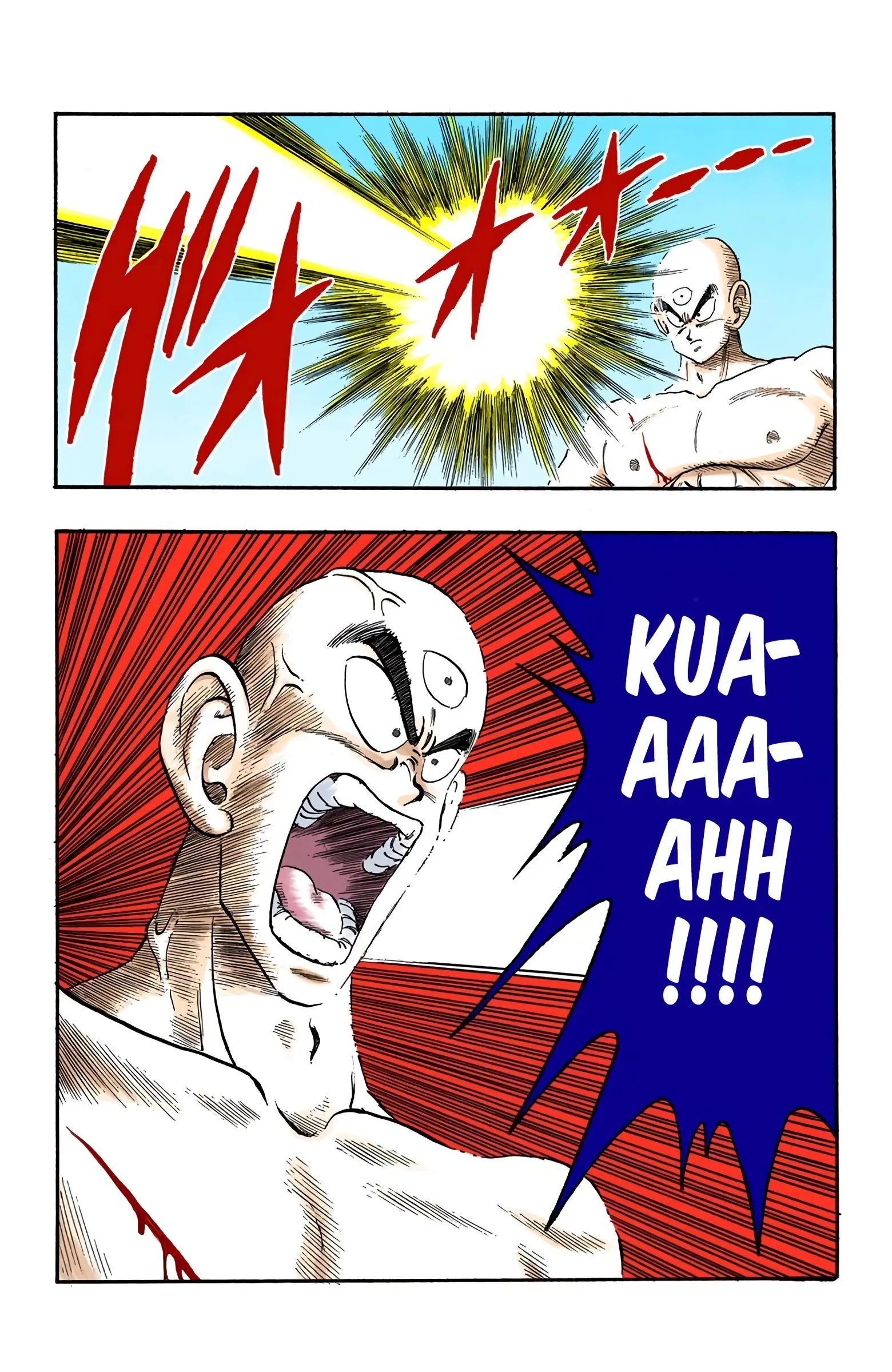 Dragon Ball Colored Manga, chapter 170, page 10