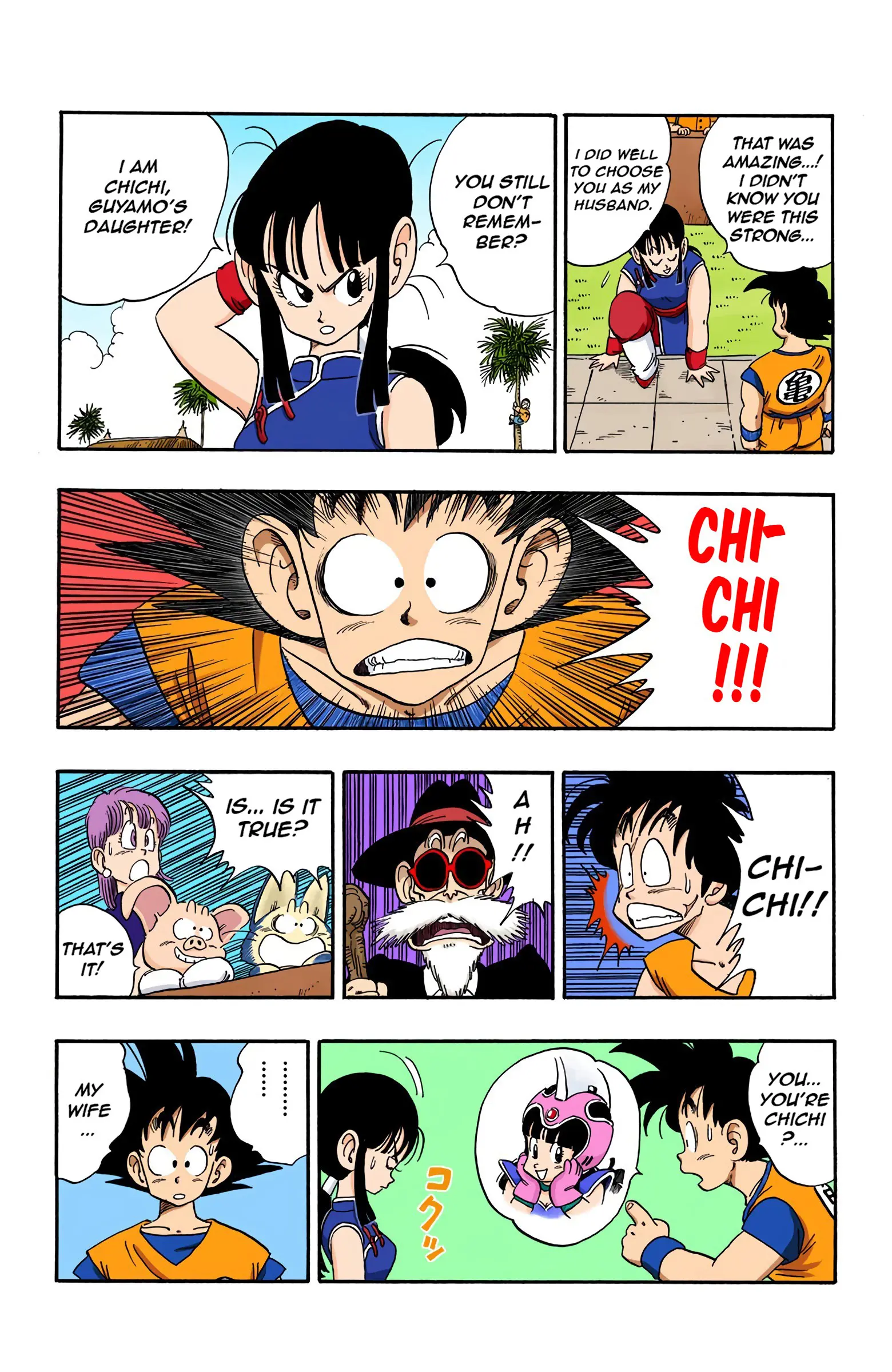 Dragon Ball Colored Manga, chapter 171, page 13