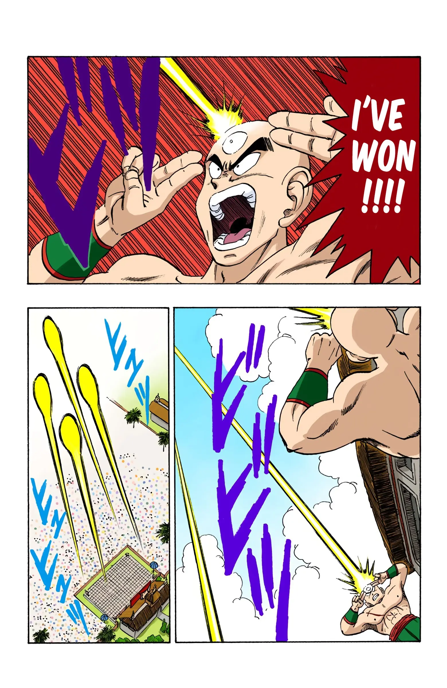Dragon Ball Colored Manga, chapter 178, page 12