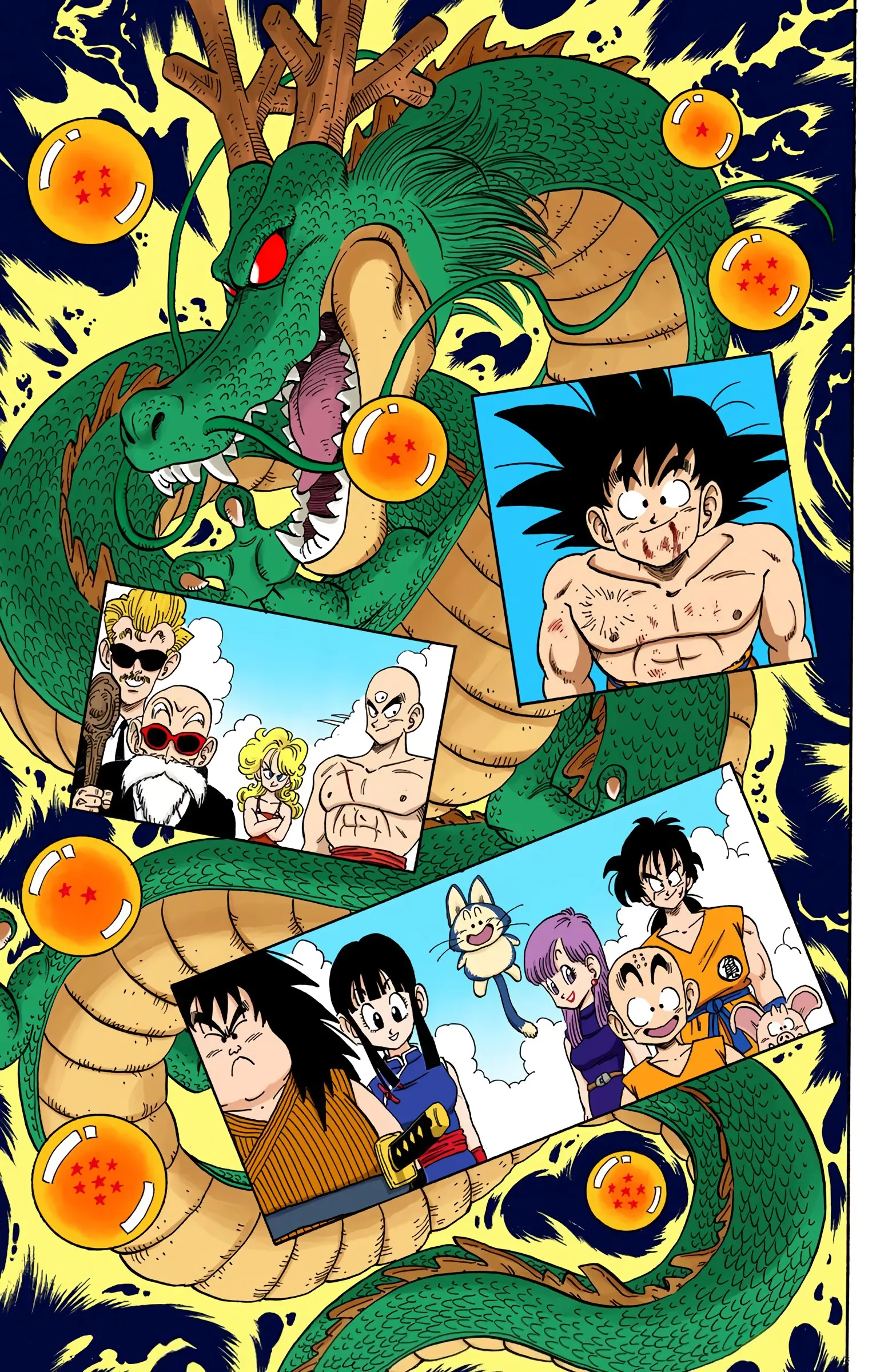 Dragon Ball Colored Manga, chapter 194, page 9