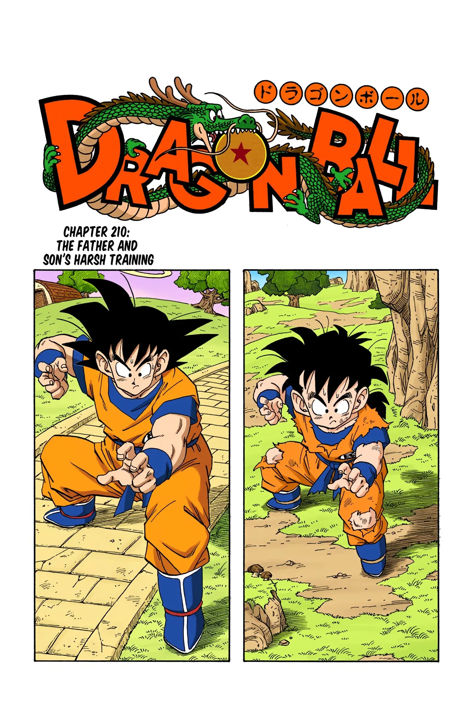 DBZ Saiyan Saga Colored Manga, chapter 210, page 1