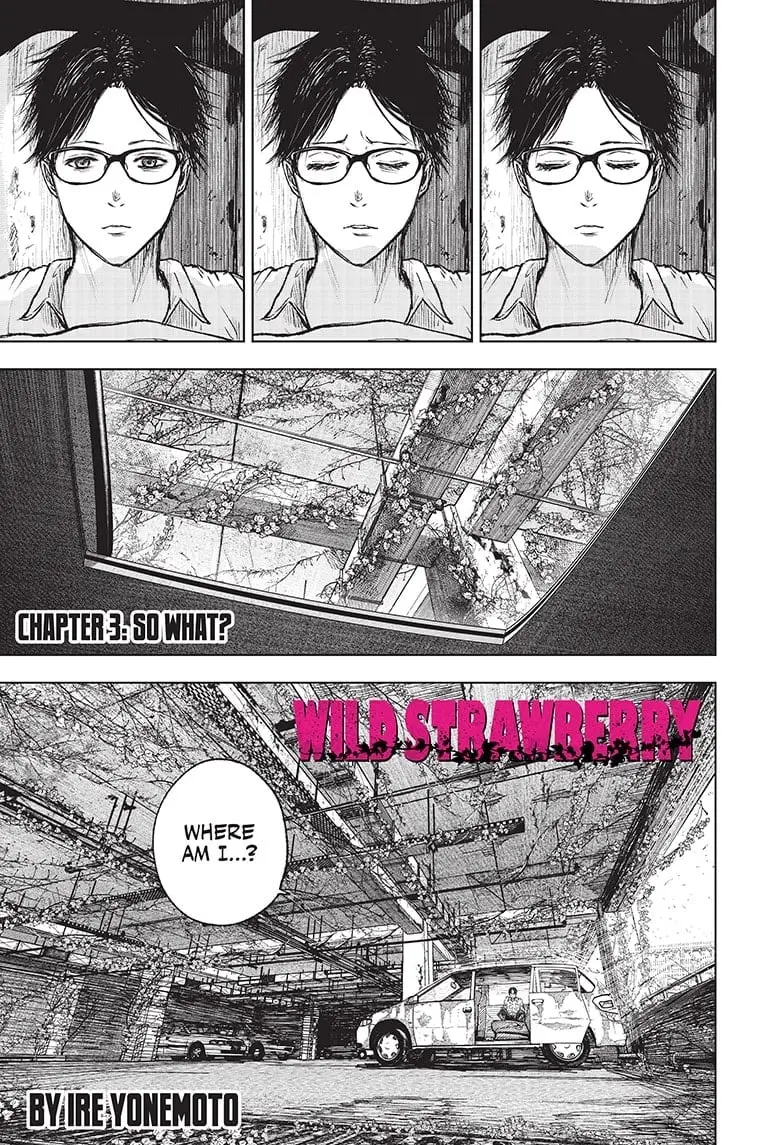 Wild Strawberry, chapter 3, page 1