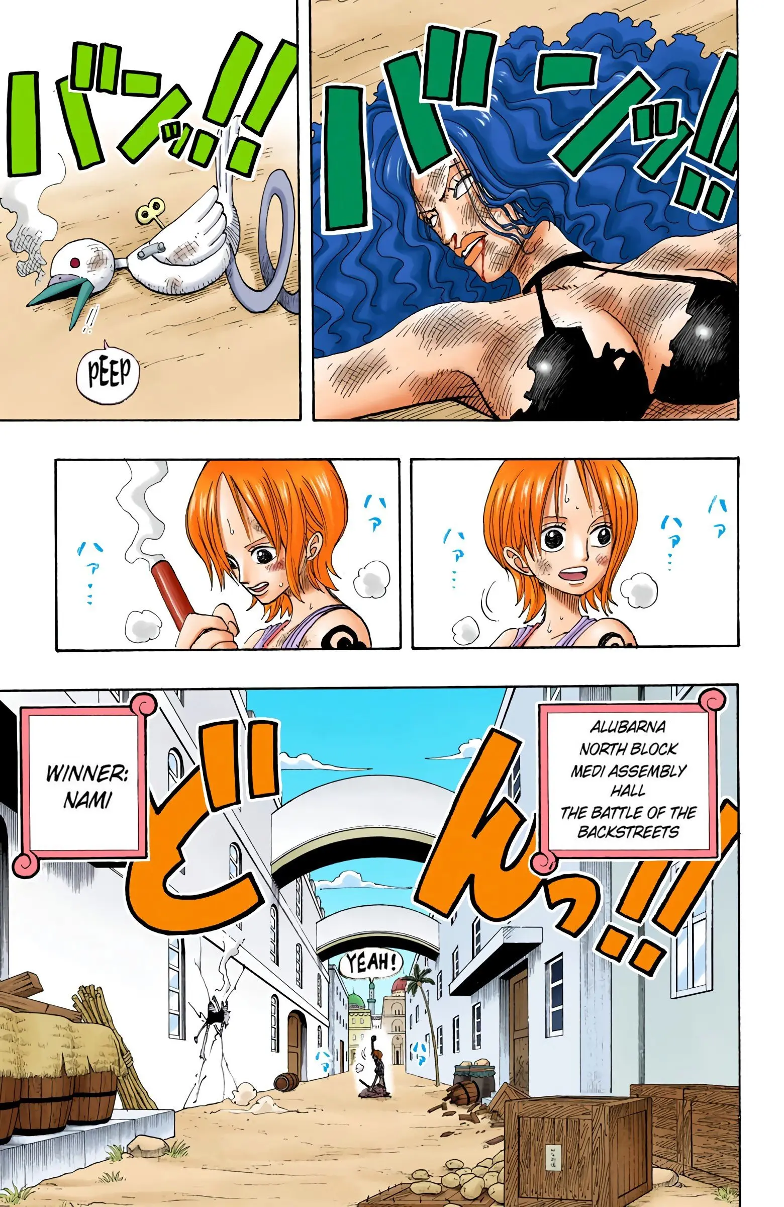 One Piece Colored, chapter 193, page 8