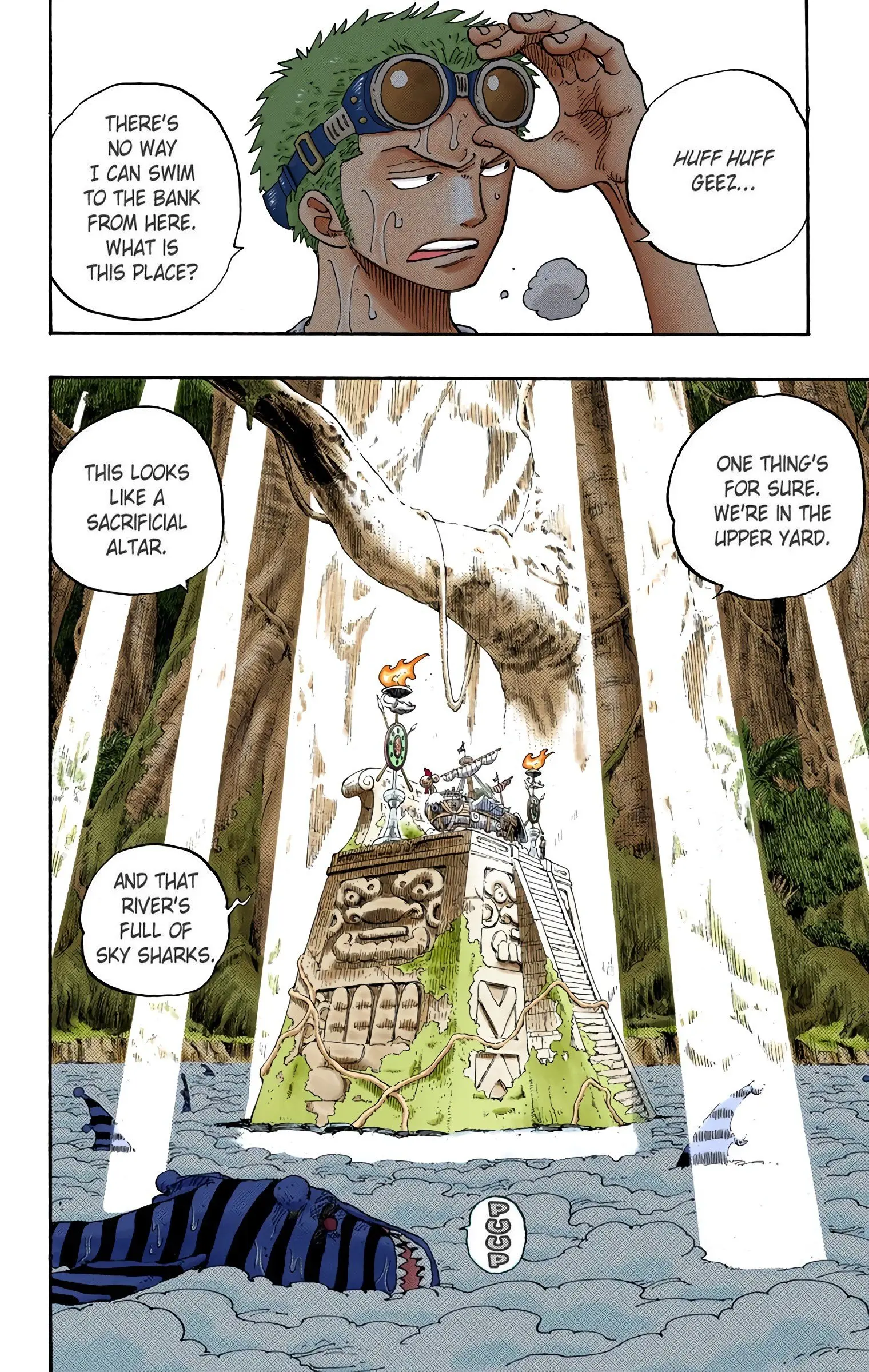 One Piece Colored, chapter 245, page 11