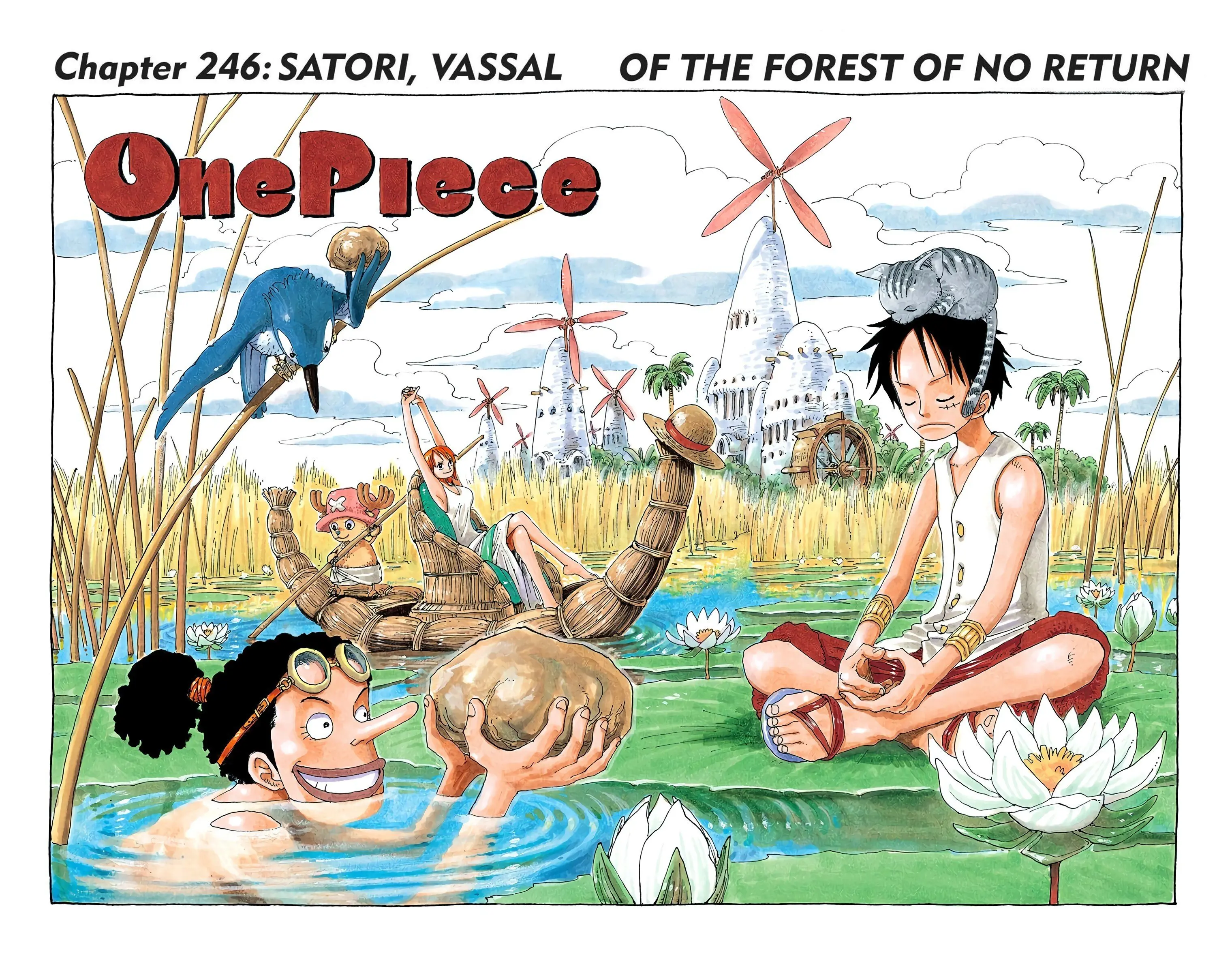 One Piece Colored, chapter 245, page 17