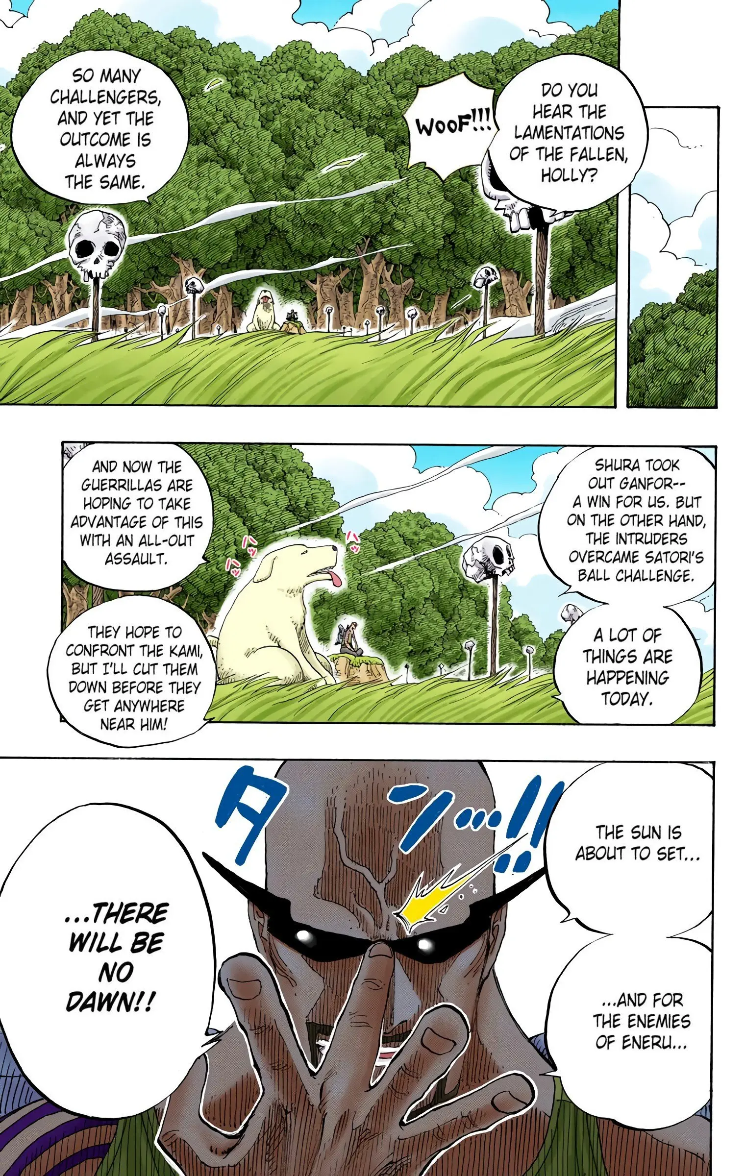 One Piece Colored, chapter 251, page 9
