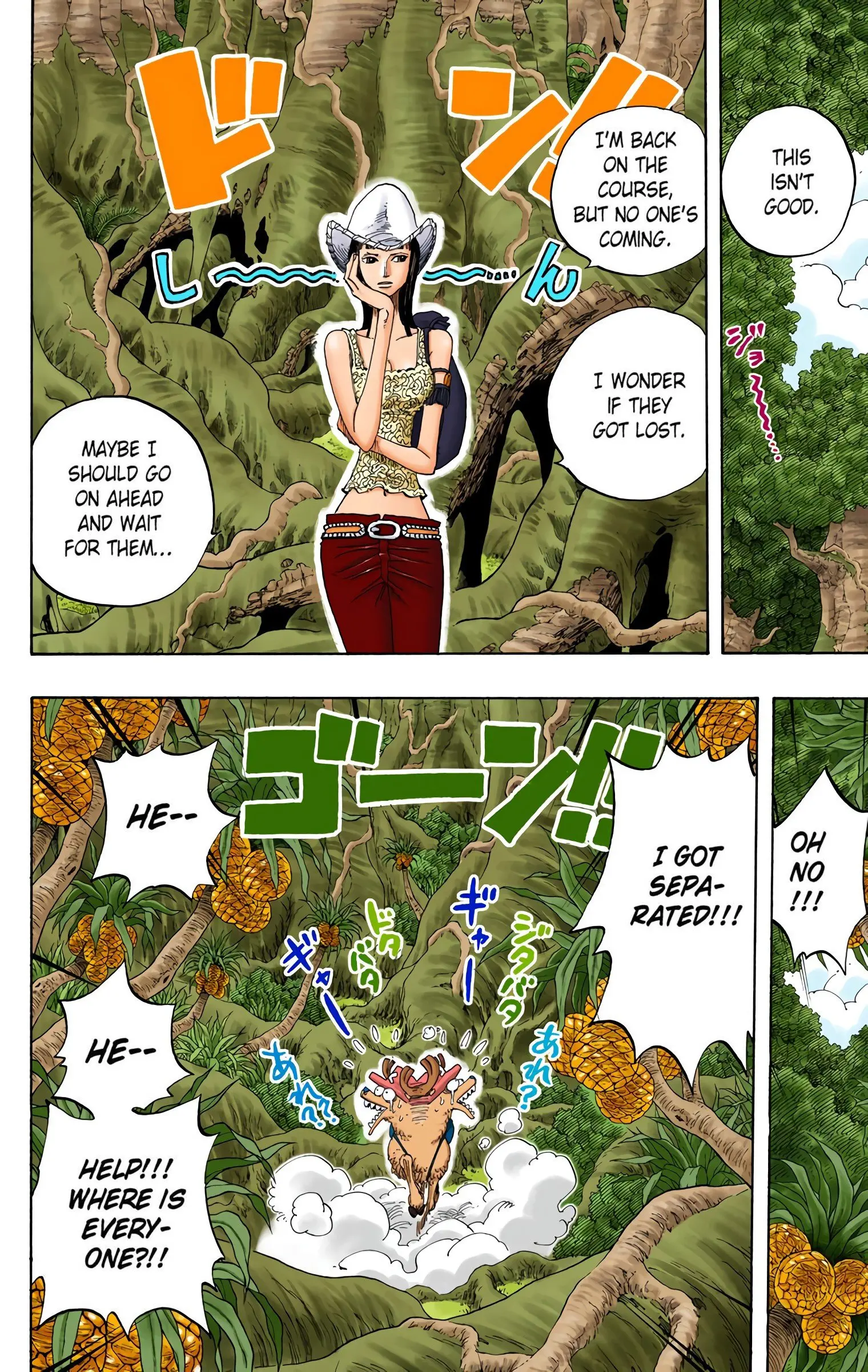 One Piece Colored, chapter 255, page 18
