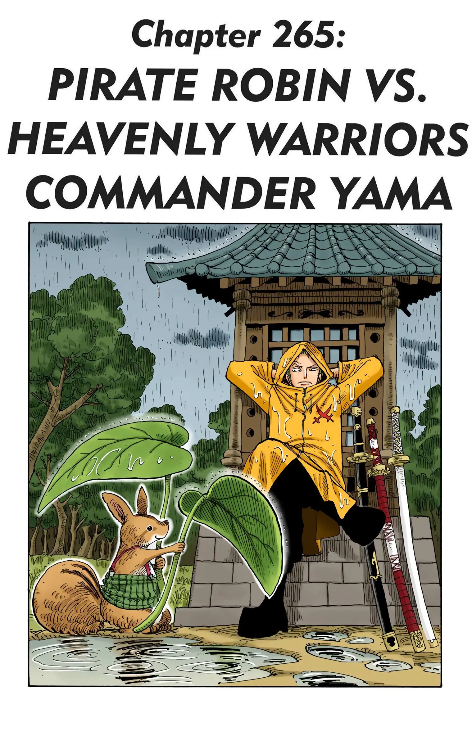 One Piece Colored, chapter 265, page 6