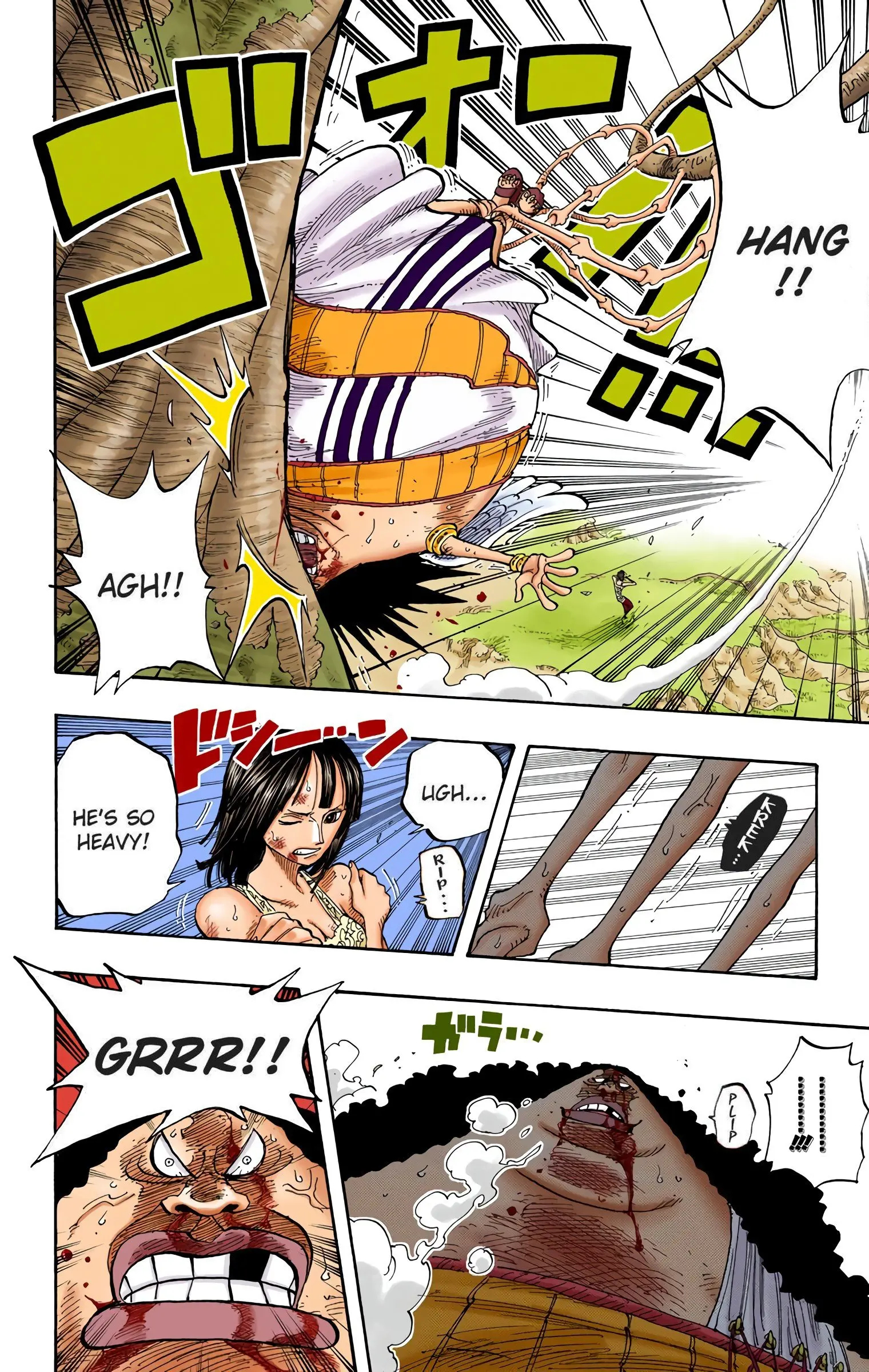 One Piece Colored, chapter 265, page 17