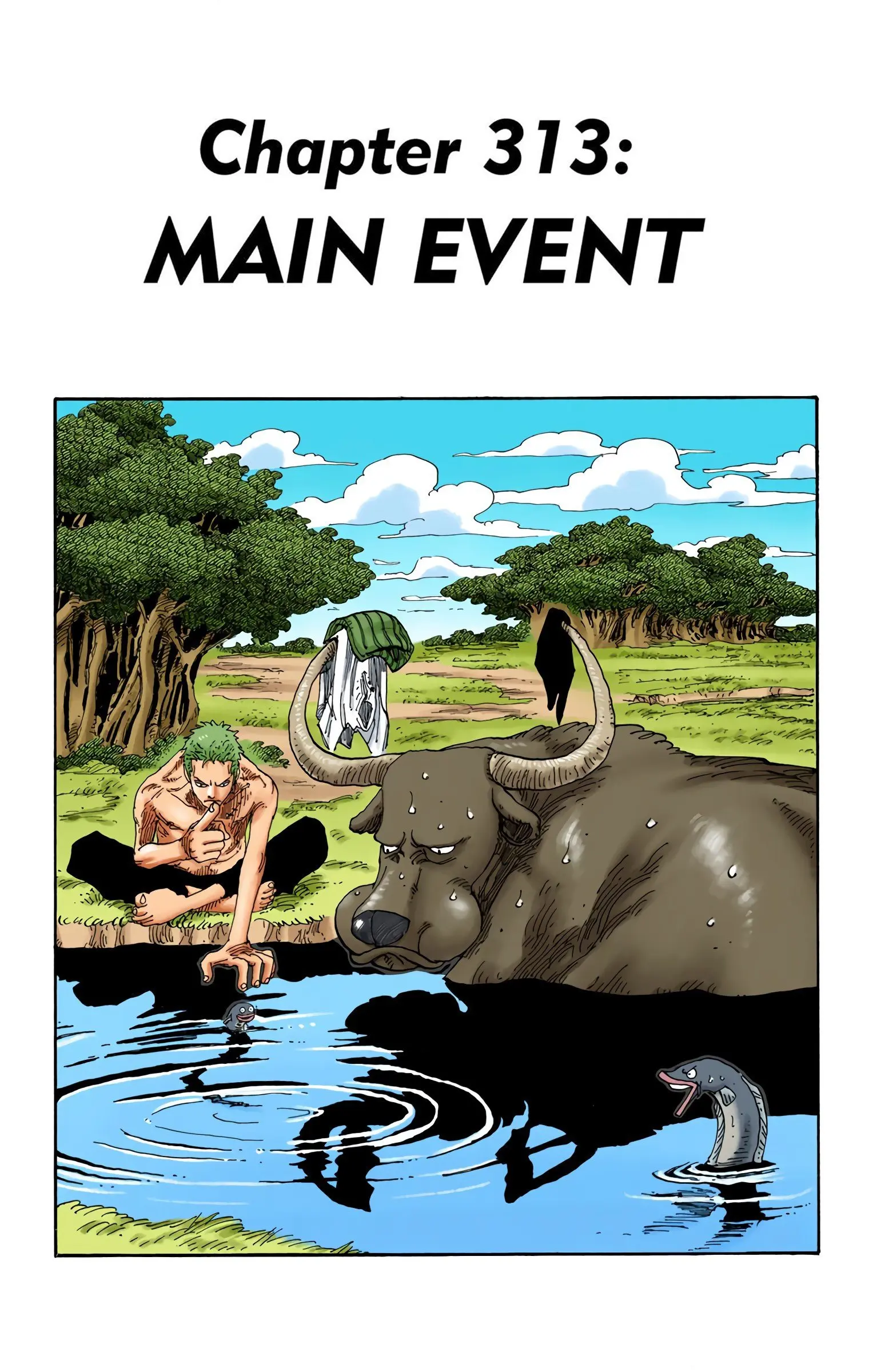 One Piece Colored, chapter 313, page 1