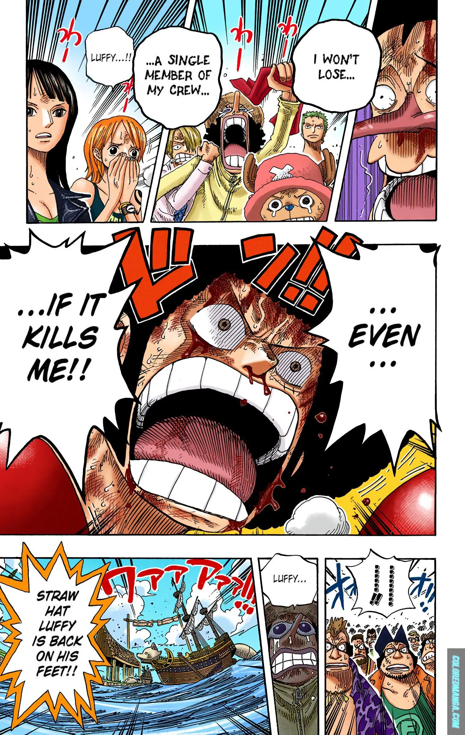 One Piece Colored, chapter 316, page 19