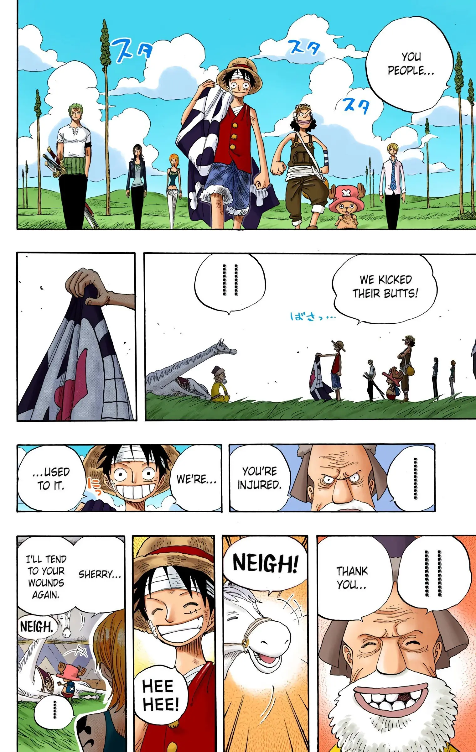 One Piece Colored, chapter 318, page 16