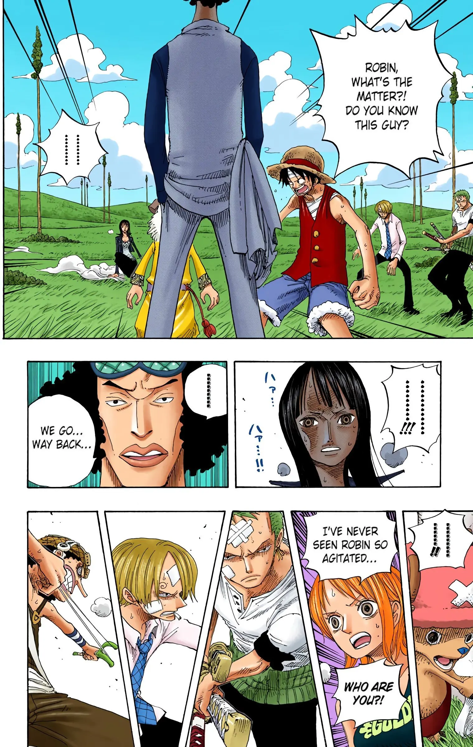 One Piece Colored, chapter 319, page 2