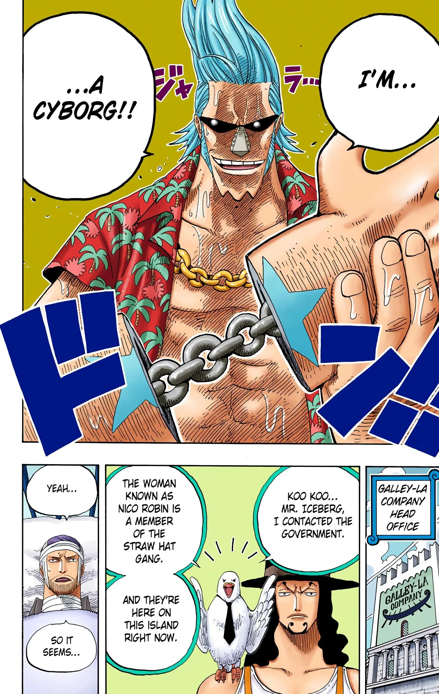 One Piece Colored, chapter 336, page 10