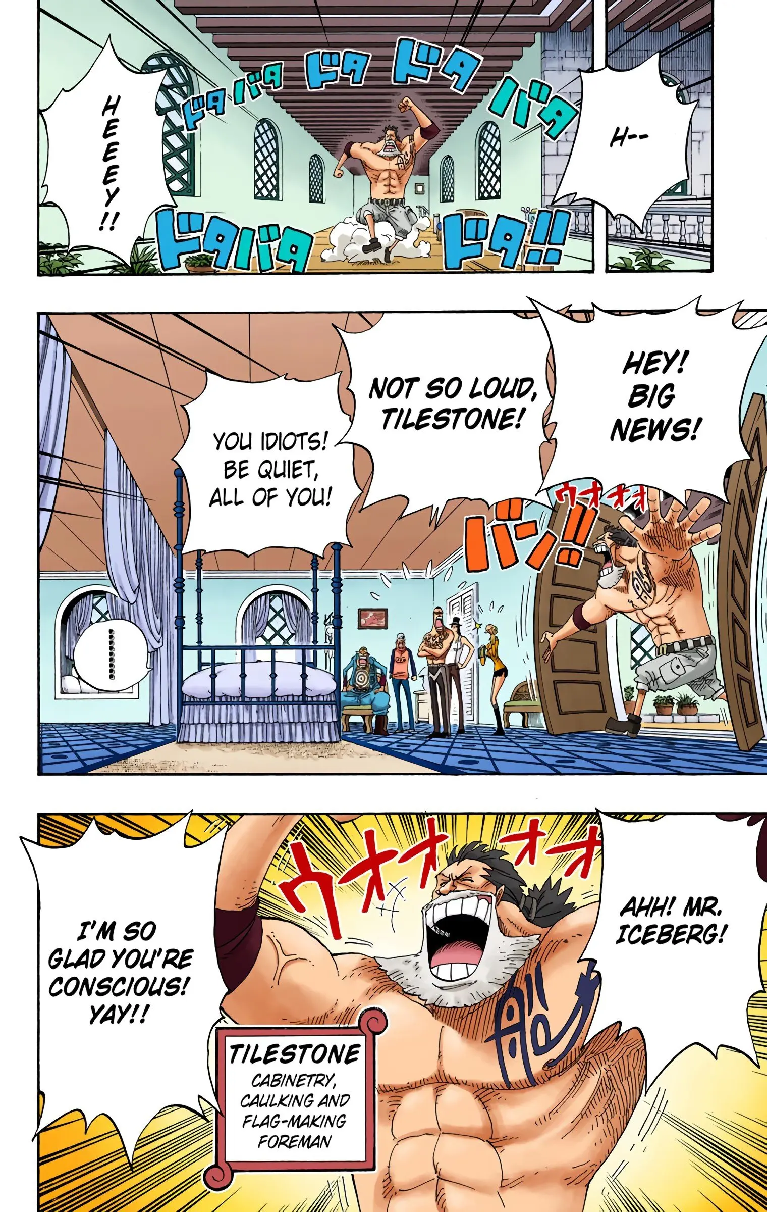 One Piece Colored, chapter 336, page 12
