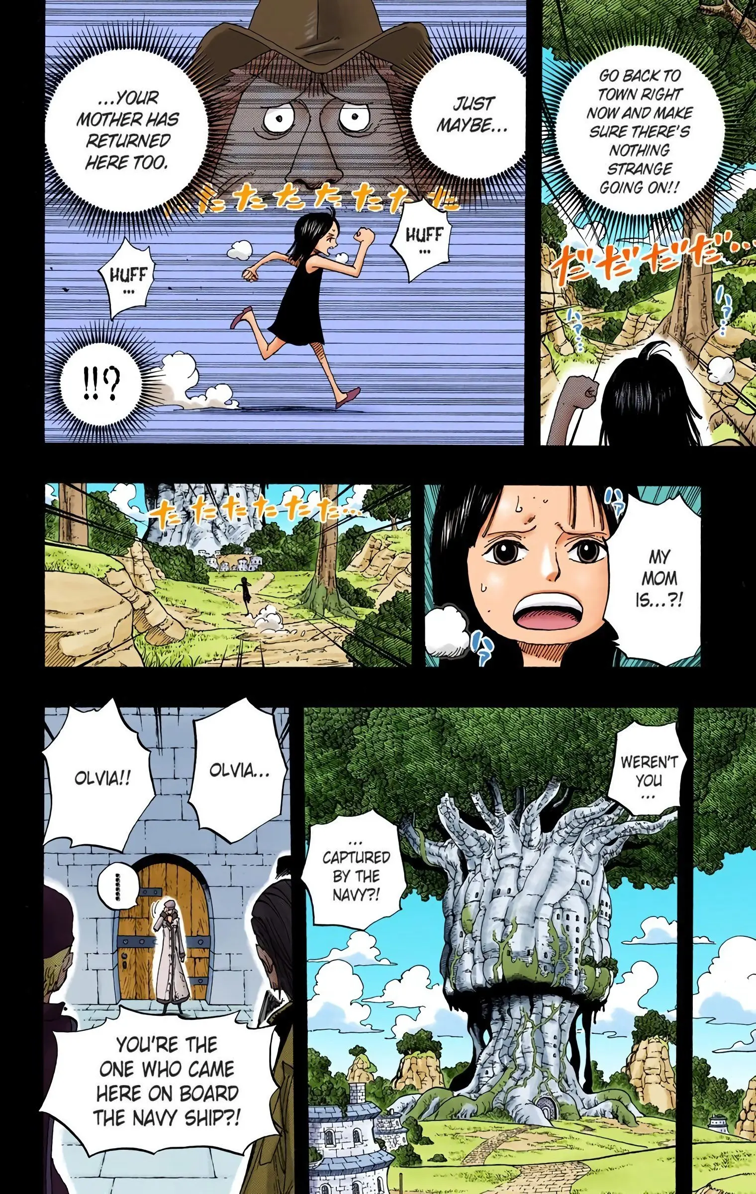 One Piece Colored, chapter 393, page 8